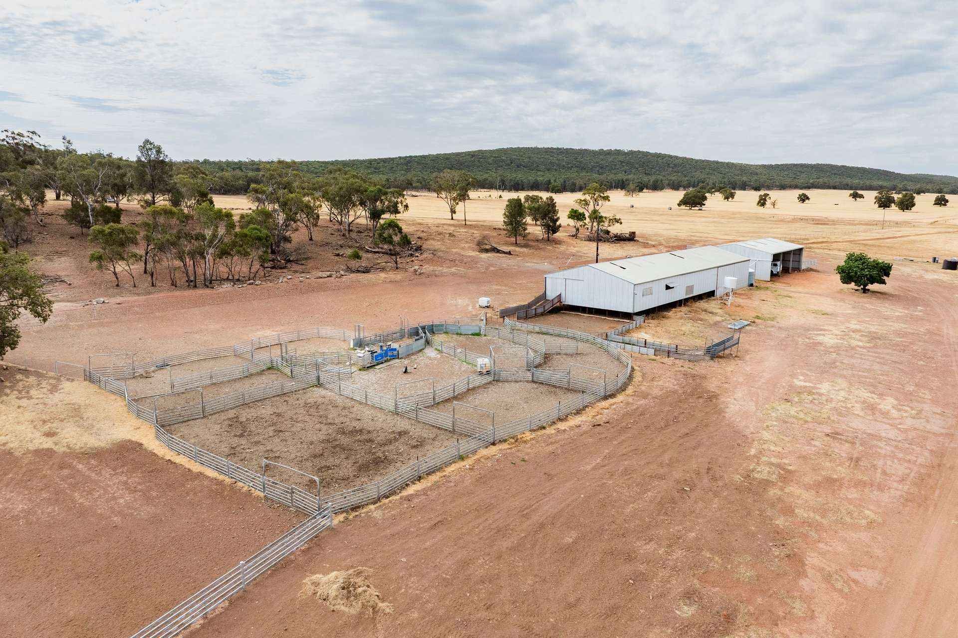 1147 Kamarah Road, Narrandera For Sale by Farmbuy.com - image 9