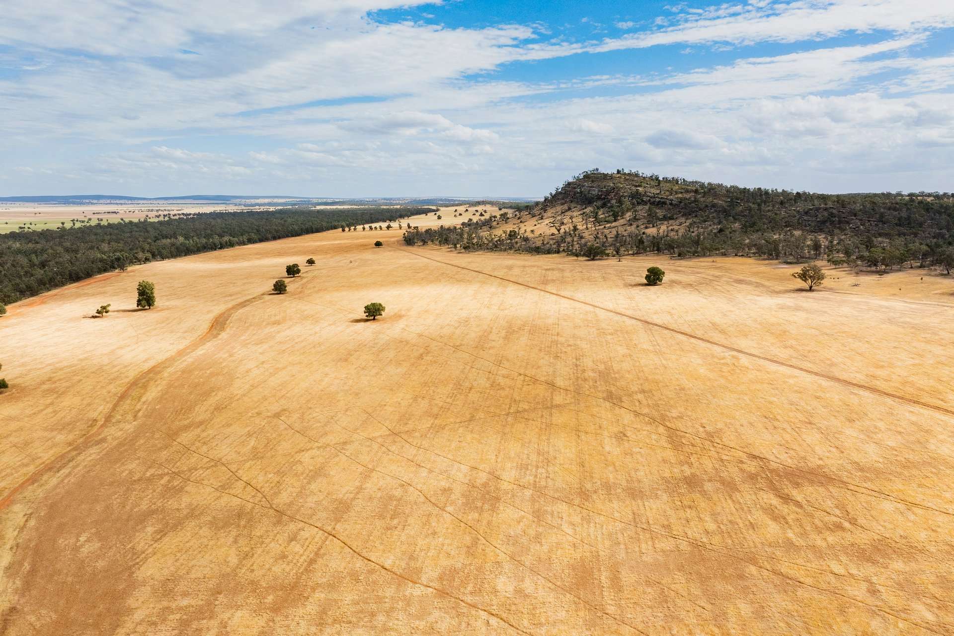 1147 Kamarah Road, Narrandera For Sale by Farmbuy.com - image 5