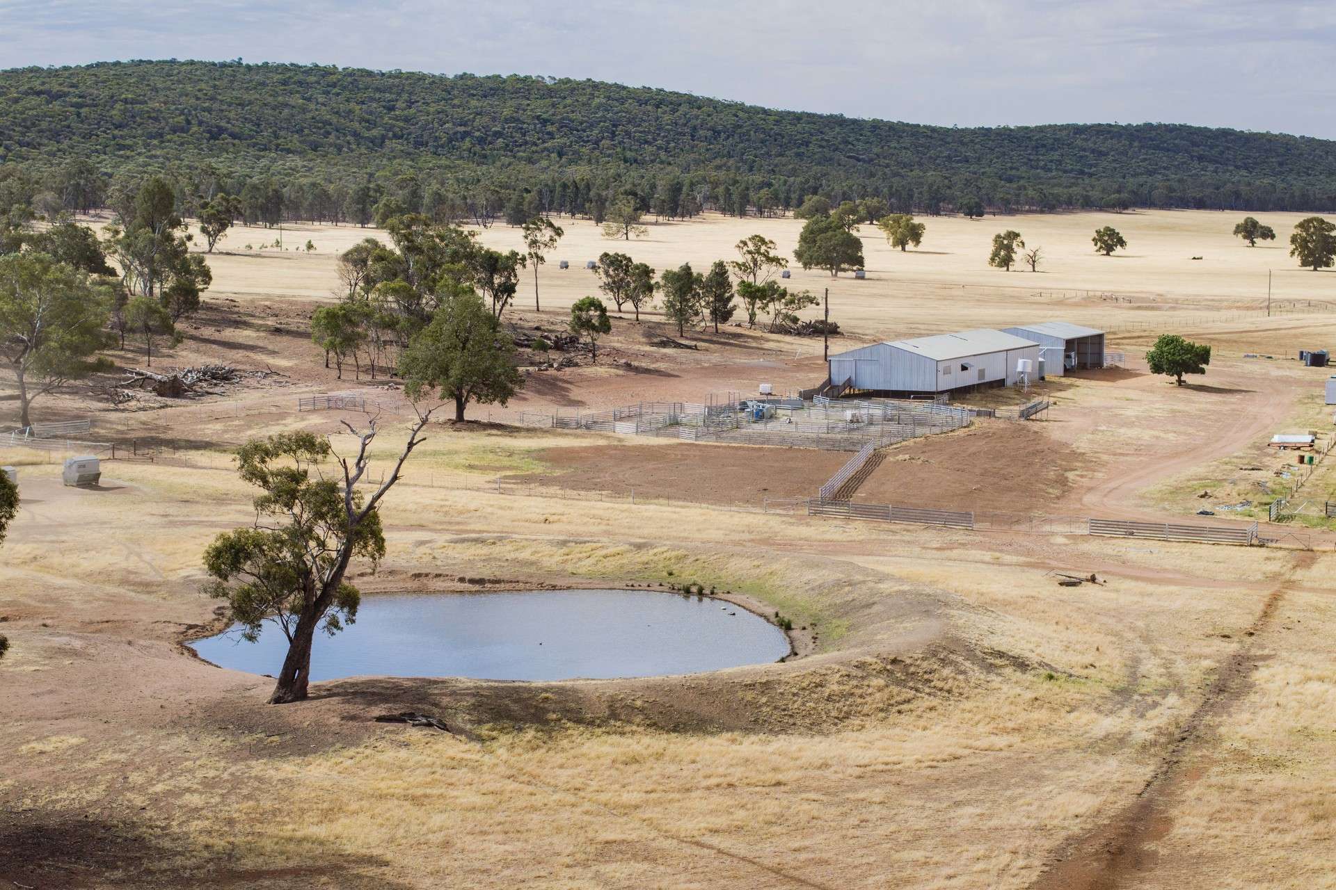 1147 Kamarah Road, Narrandera For Sale by Farmbuy.com - image 6