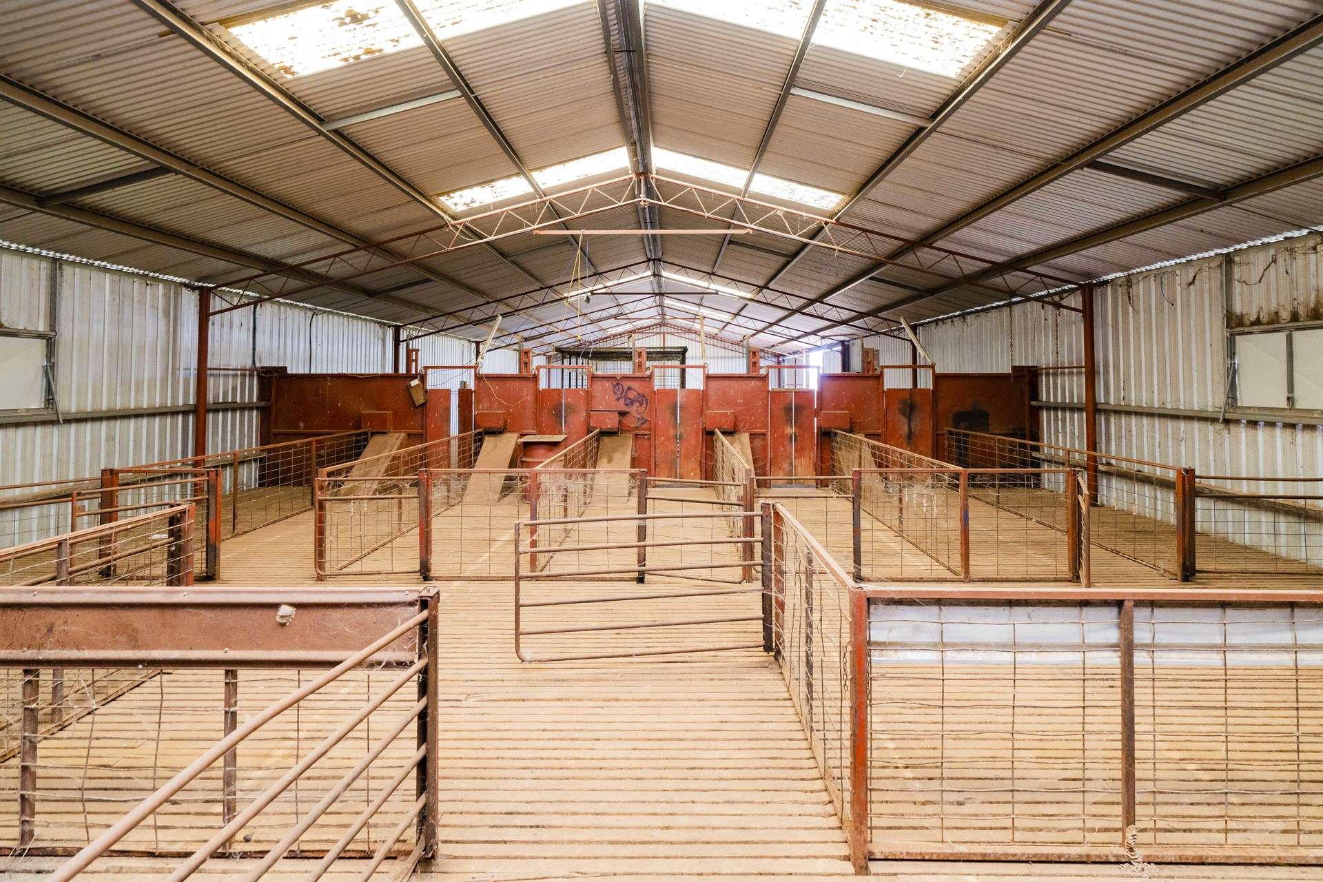 1147 Kamarah Road, Narrandera For Sale by Farmbuy.com - image 21