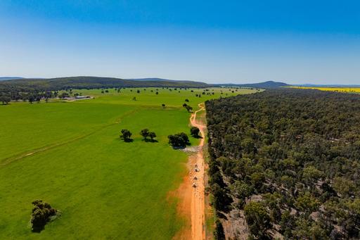Farm For Sale - NSW - Narrandera - 2700 - "Mount Olive" – 2,093Ha of Versatile Riverina Country 
