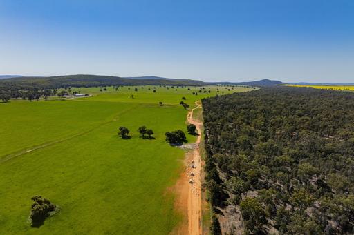 Farm For Sale - NSW - Narrandera - 2700 - 