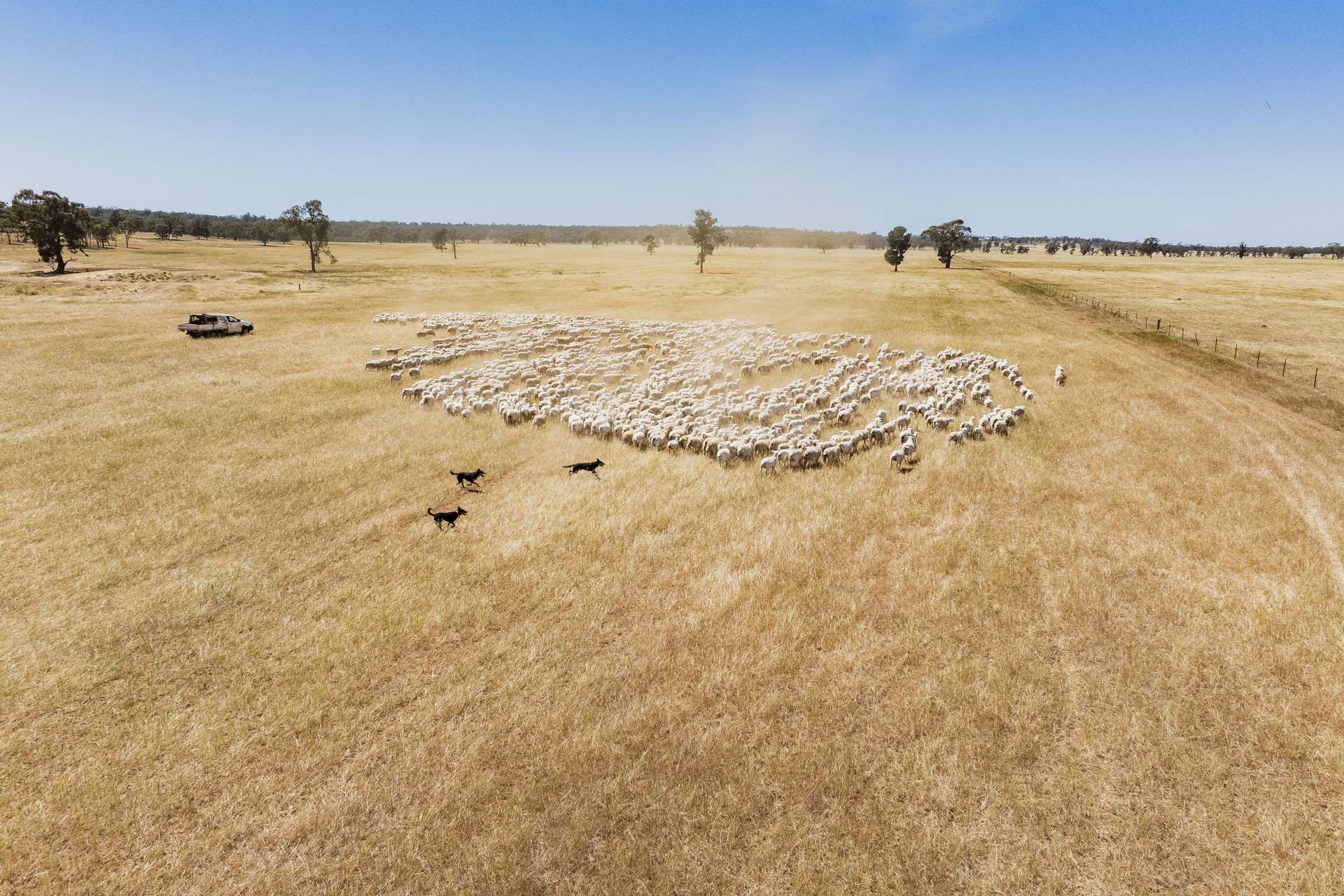 25 Kamarah Road, Narrandera For Sale by Farmbuy.com - image 6