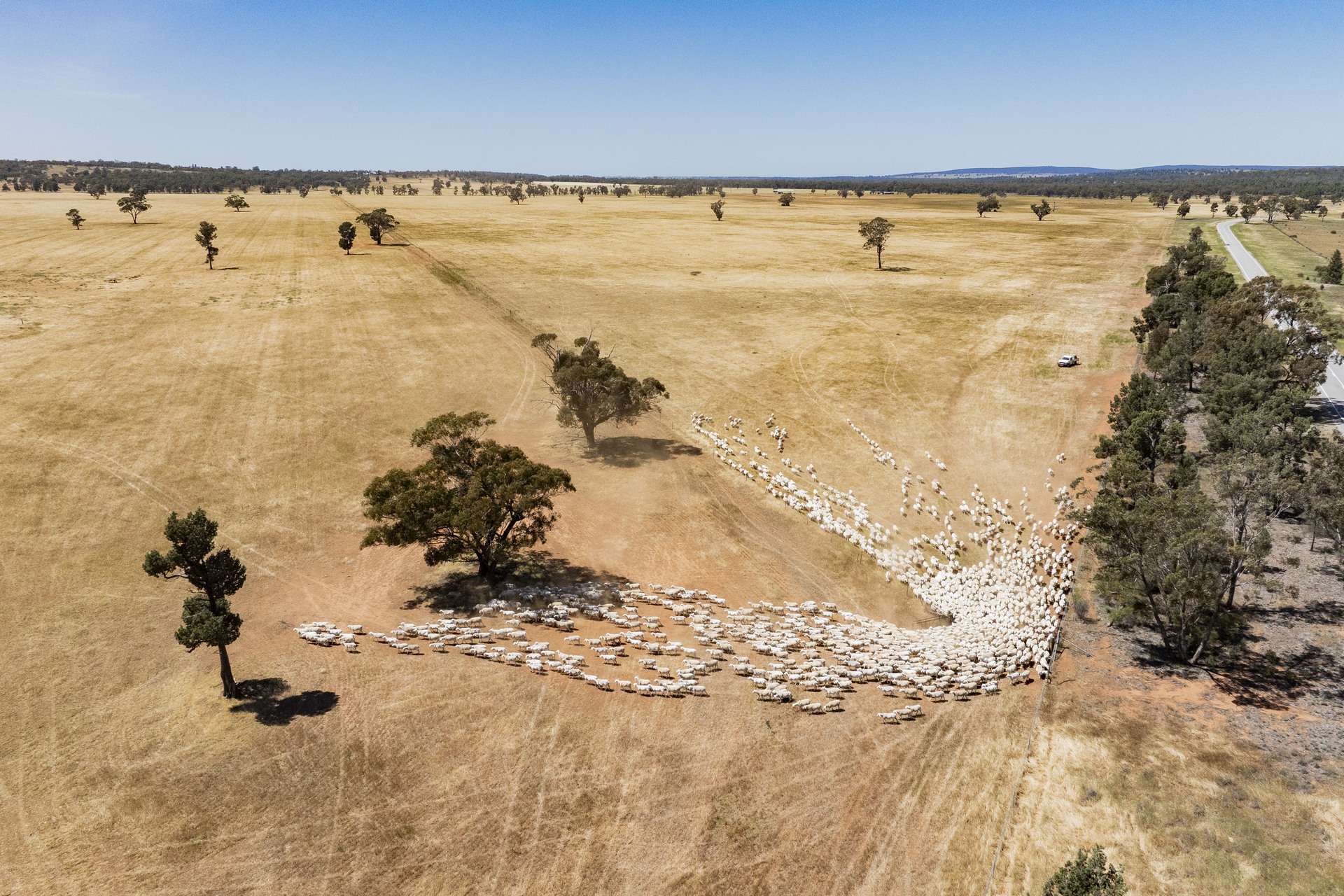 25 Kamarah Road, Narrandera For Sale by Farmbuy.com - image 14
