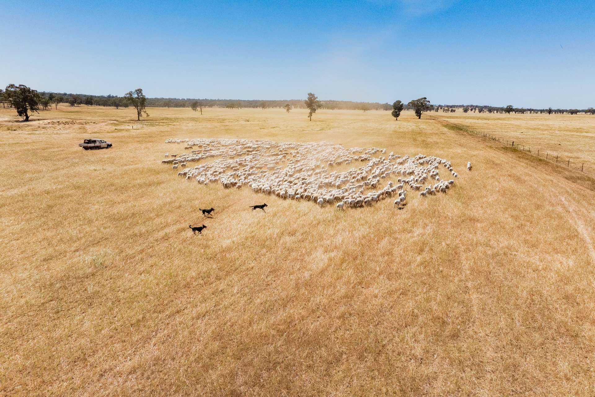 25 Kamarah Road, Narrandera For Sale by Farmbuy.com - image 6