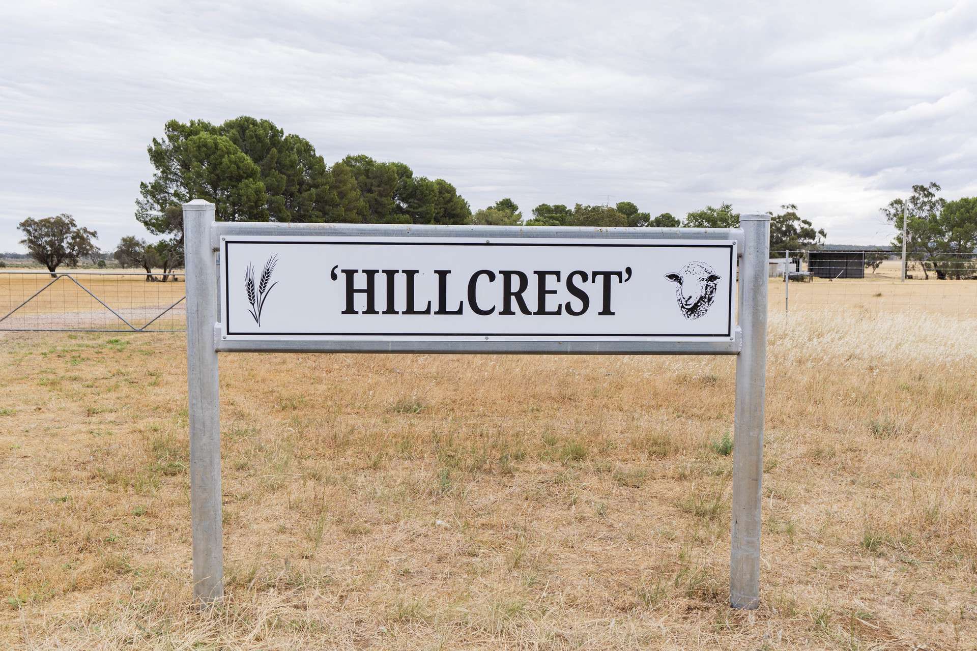 25 Kamarah Road, Narrandera For Sale by Farmbuy.com - image 2