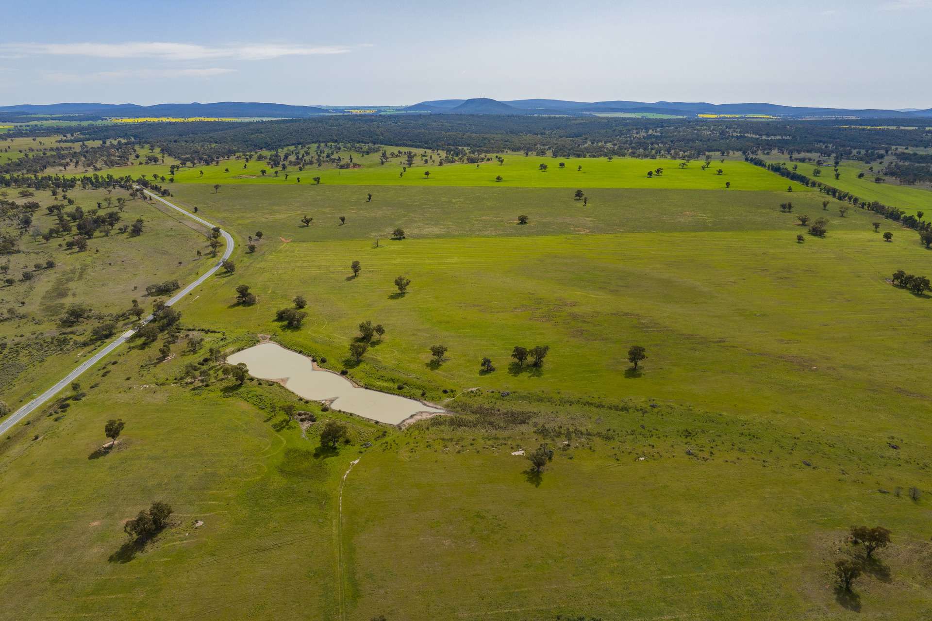 25 Kamarah Road, Narrandera For Sale by Farmbuy.com - image 5