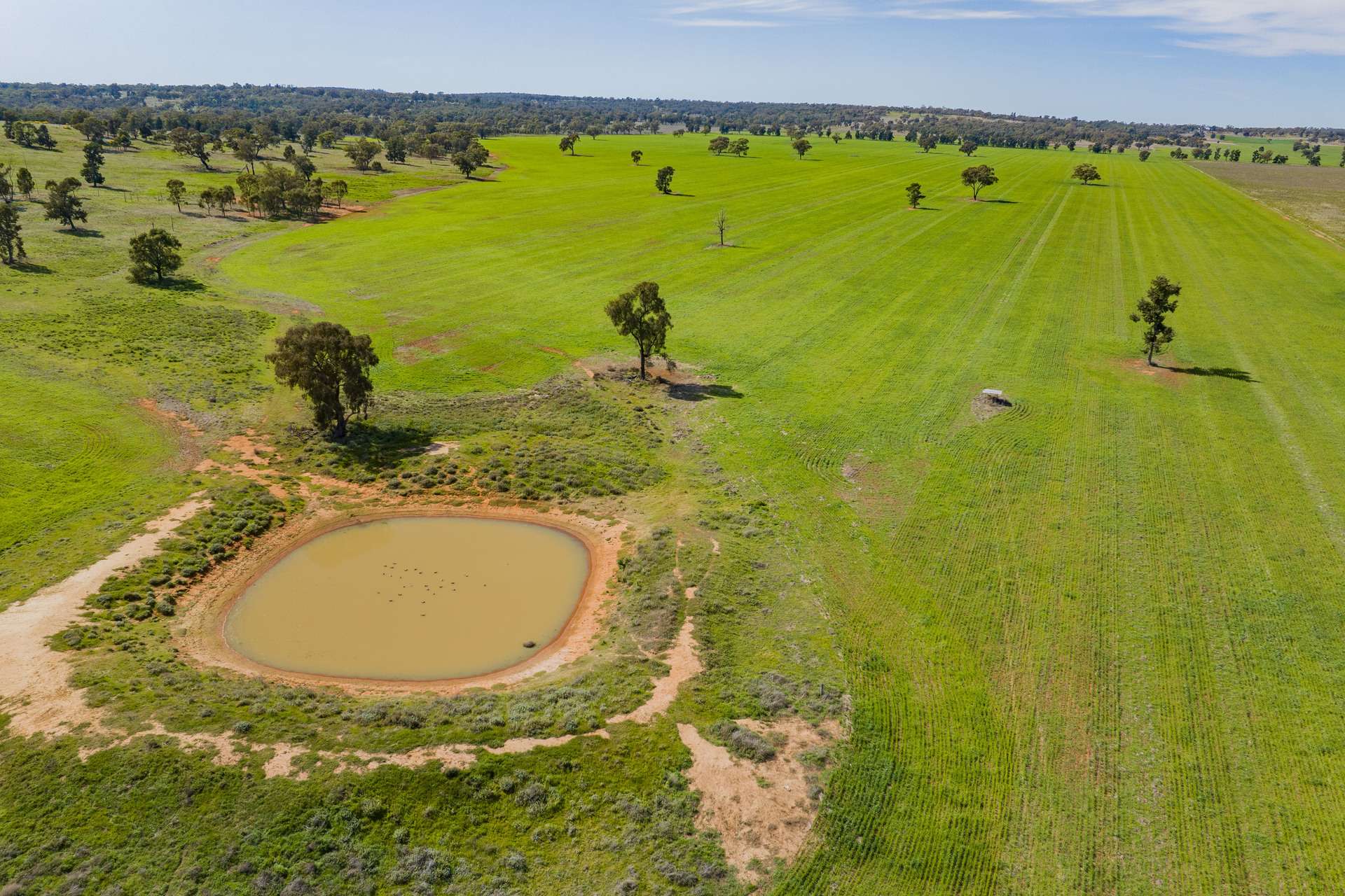 25 Kamarah Road, Narrandera For Sale by Farmbuy.com - image 7