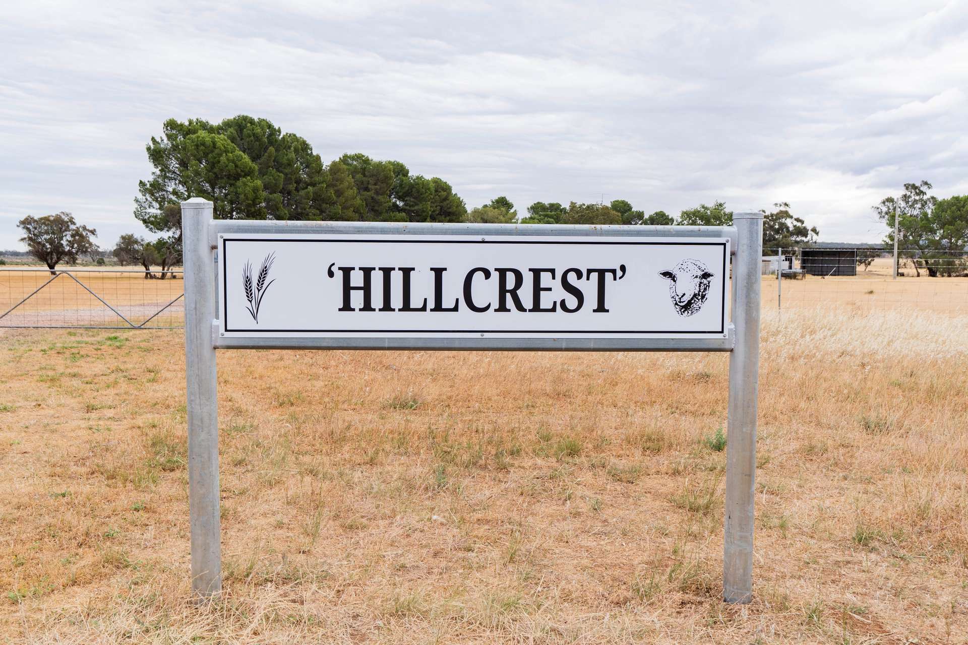 25 Kamarah Road, Narrandera For Sale by Farmbuy.com - image 2