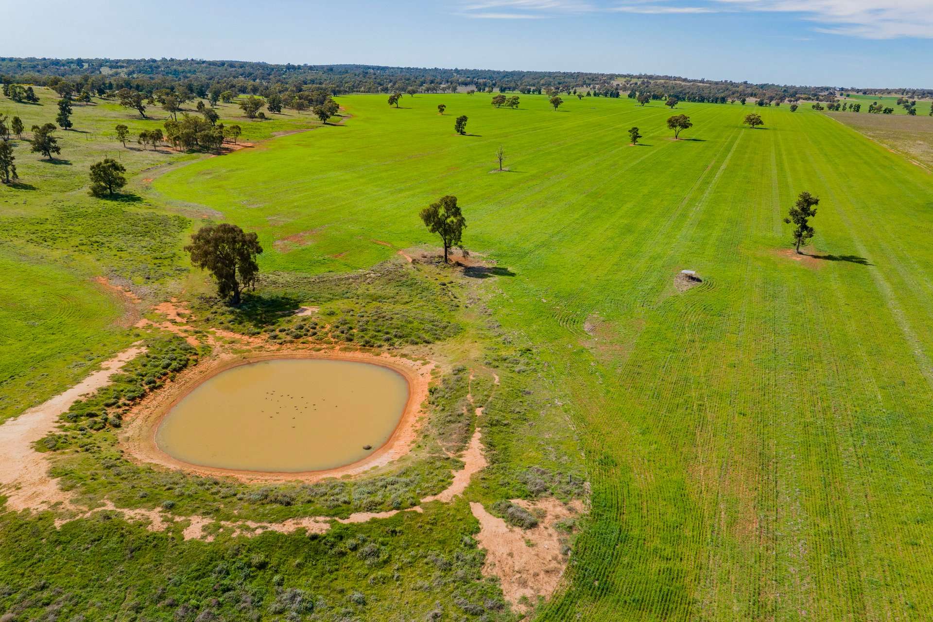 25 Kamarah Road, Narrandera For Sale by Farmbuy.com - image 7