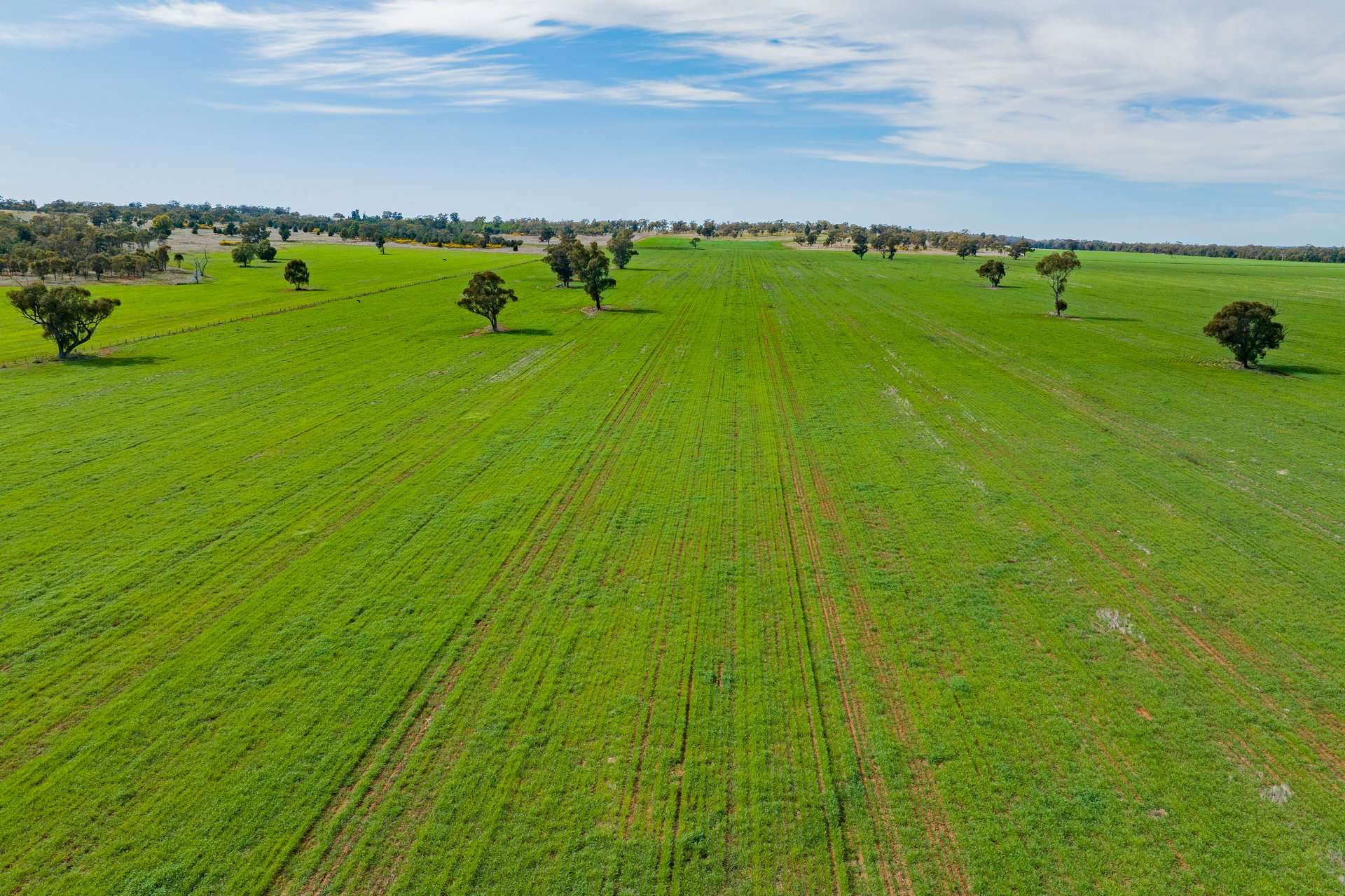 25 Kamarah Road, Narrandera For Sale by Farmbuy.com - image 3