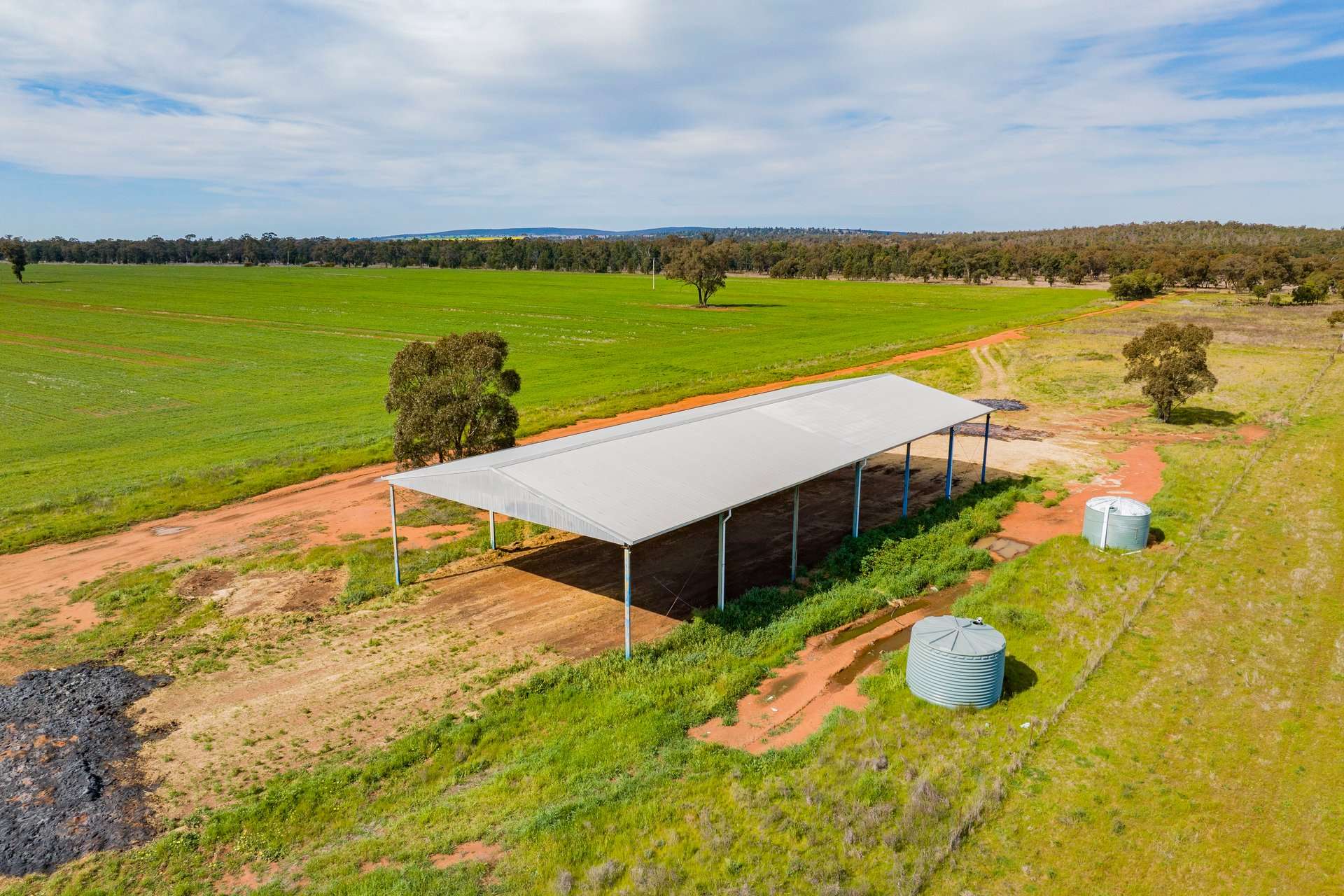 25 Kamarah Road, Narrandera For Sale by Farmbuy.com - image 4