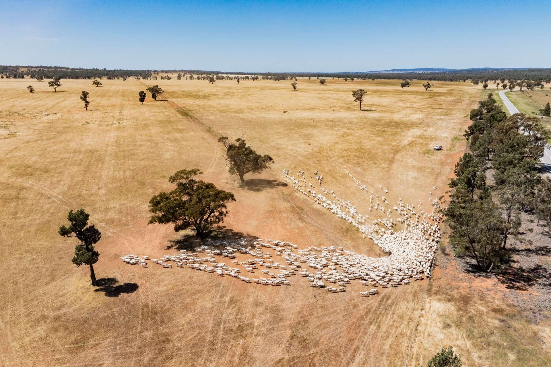 25 Kamarah Road, Narrandera For Sale by Farmbuy.com - image 14