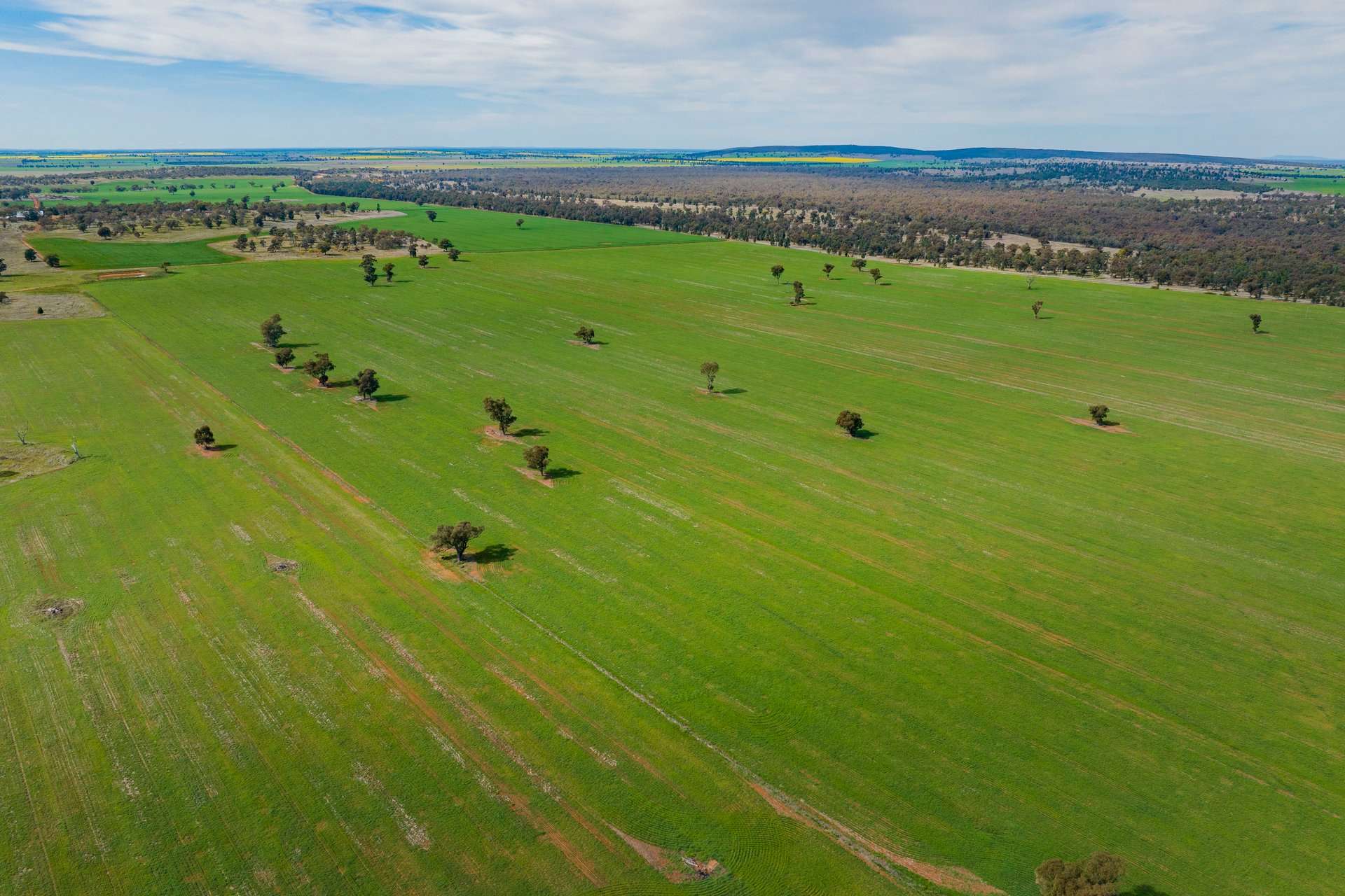 25 Kamarah Road, Narrandera For Sale by Farmbuy.com - image 8