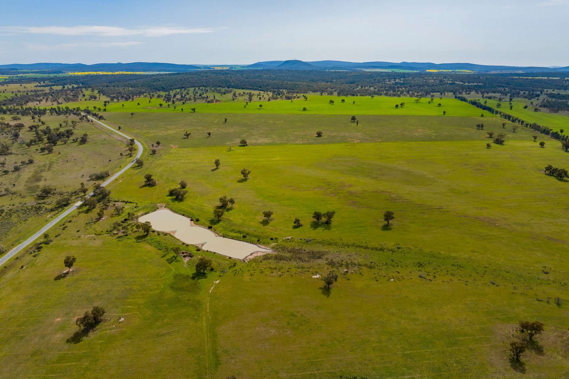 25 Kamarah Road, Narrandera For Sale by Farmbuy.com - image 5