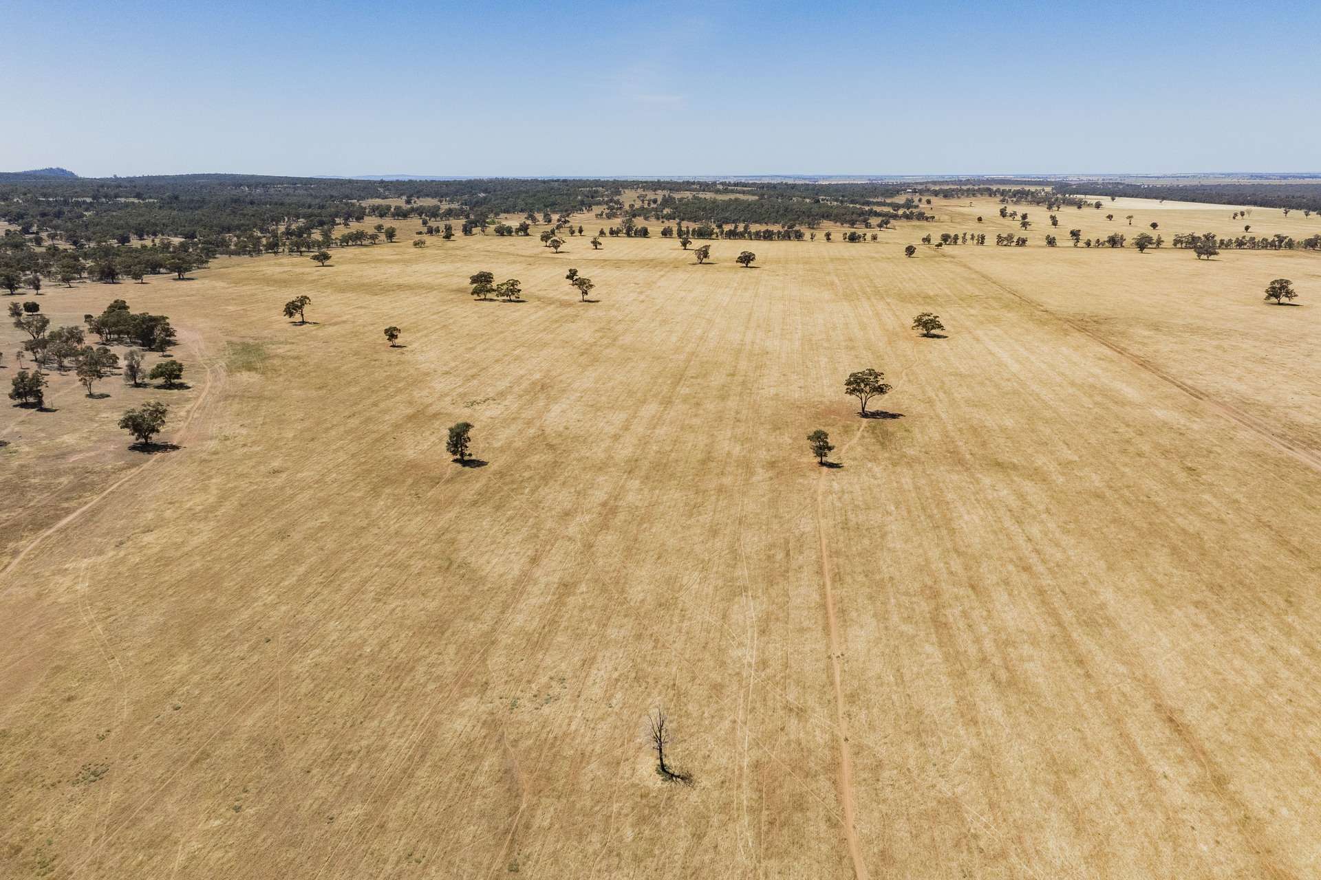 25 Kamarah Road, Narrandera For Sale by Farmbuy.com - image 9