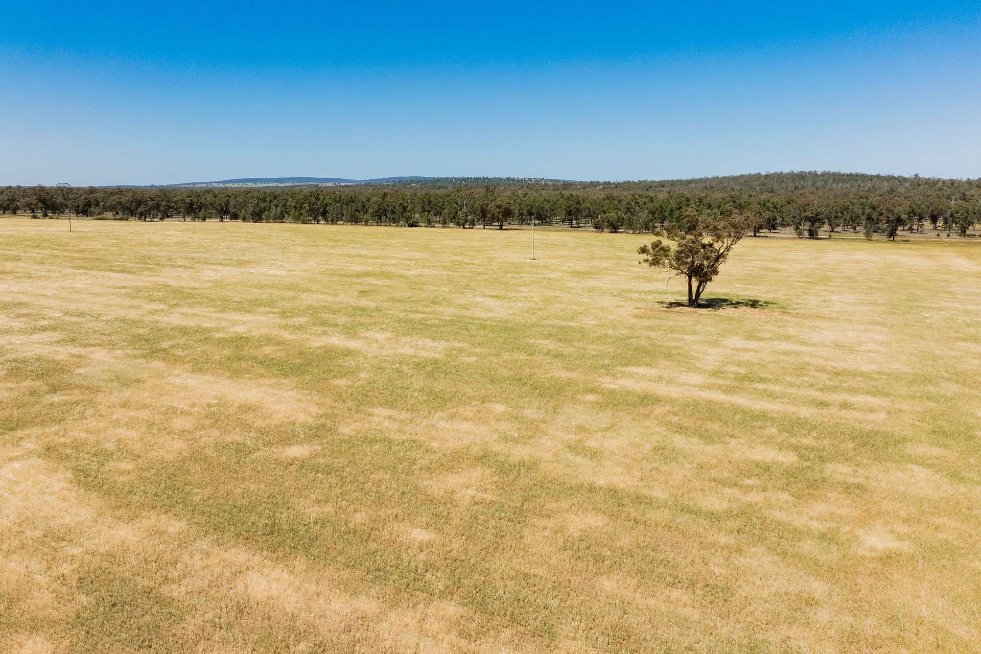 25 Kamarah Road, Narrandera For Sale by Farmbuy.com - image 13