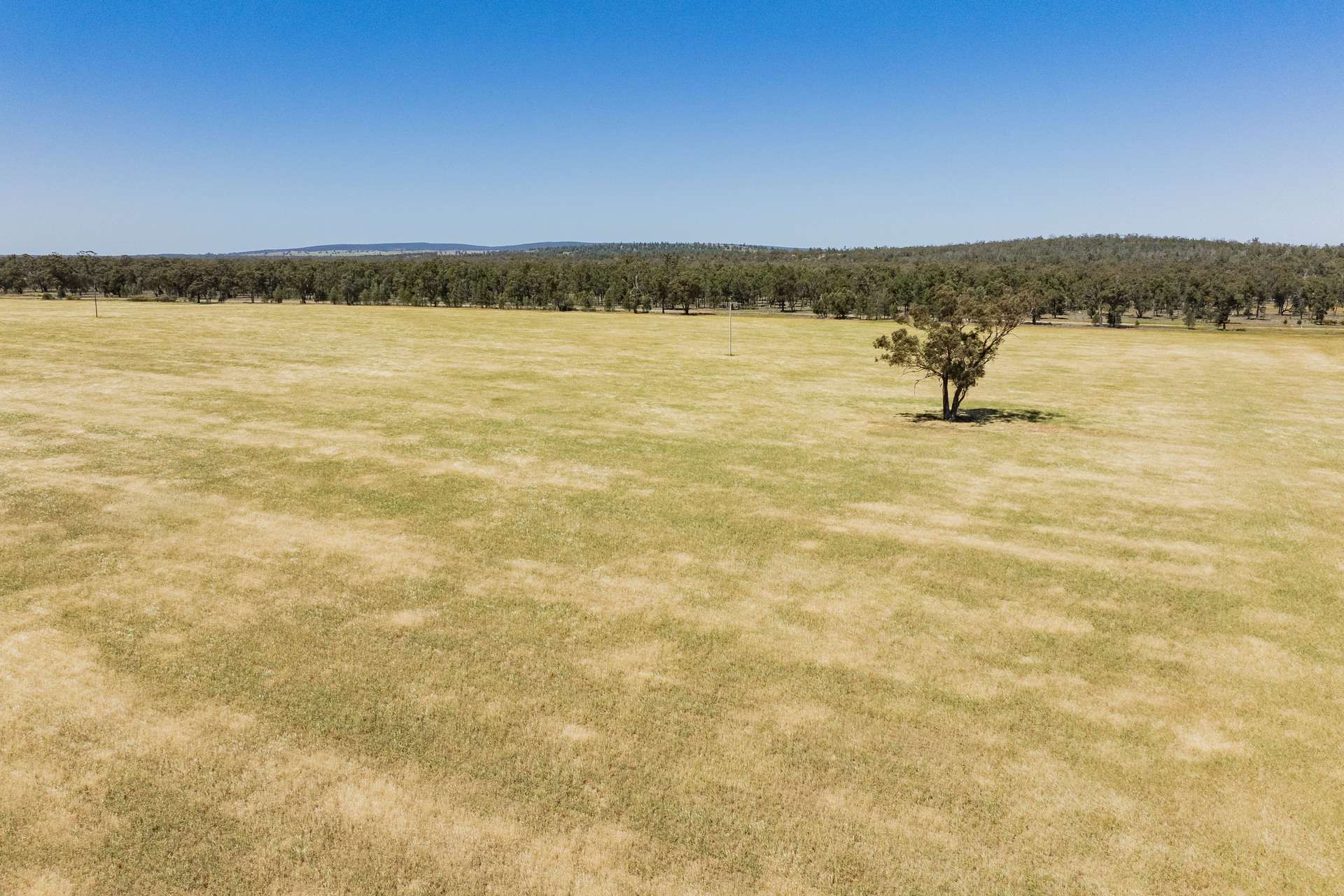 25 Kamarah Road, Narrandera For Sale by Farmbuy.com - image 13
