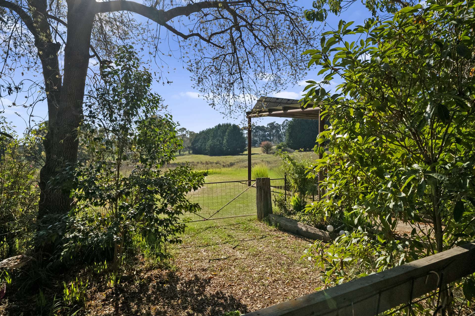 1427 Boggy Creek Road, Myrrhee For Sale by Farmbuy.com - image 25