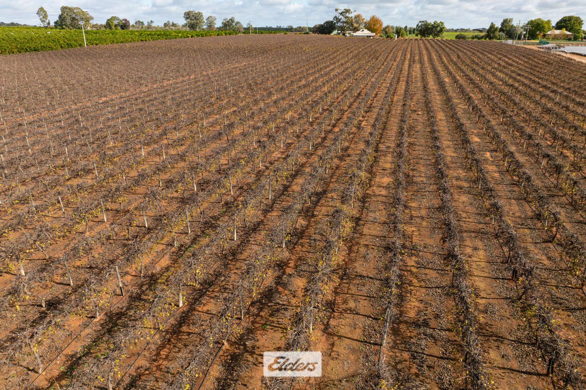 166 Keenans Drive, Coomealla For Sale by Farmbuy.com - image 29