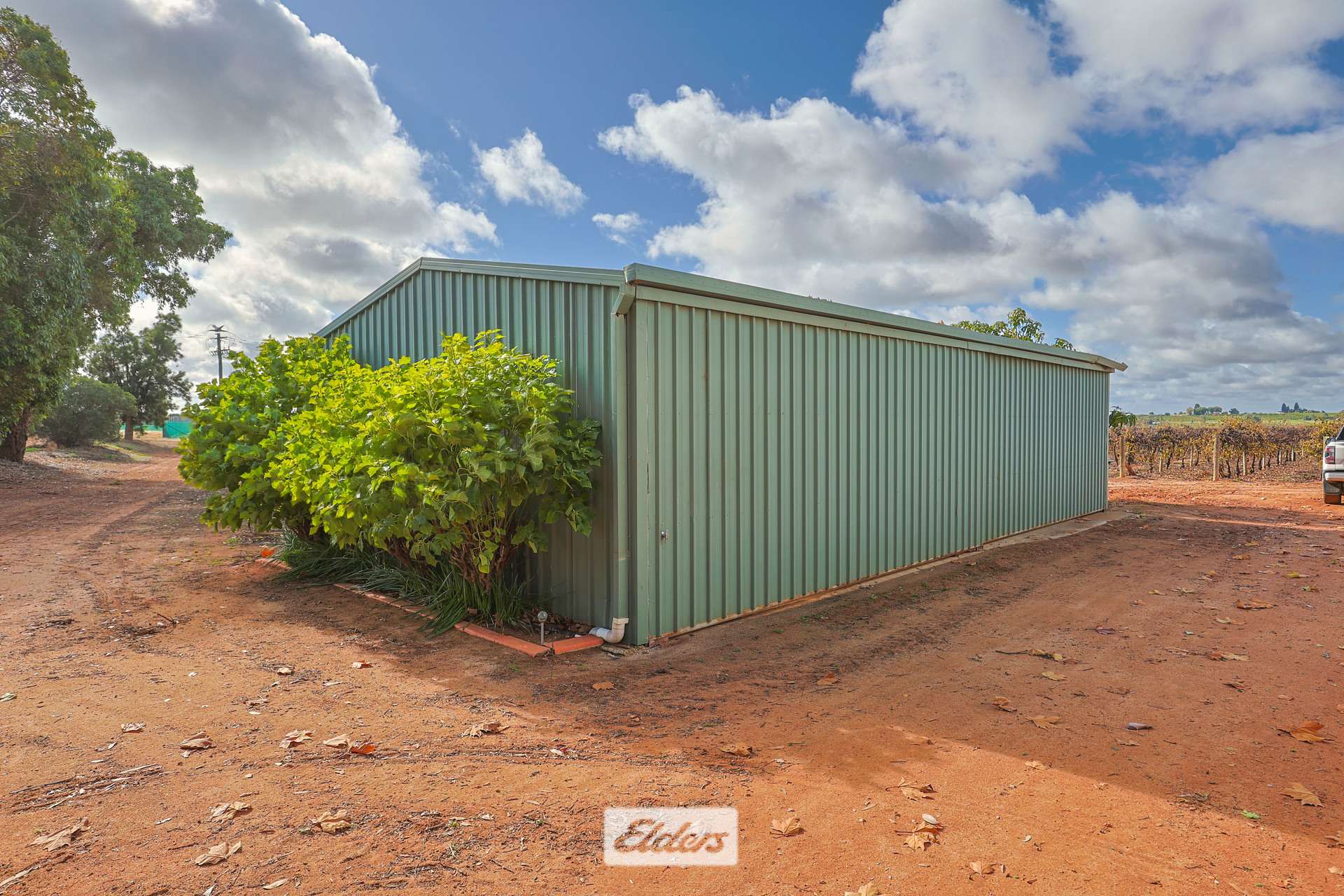 166 Keenans Drive, Coomealla For Sale by Farmbuy.com - image 19