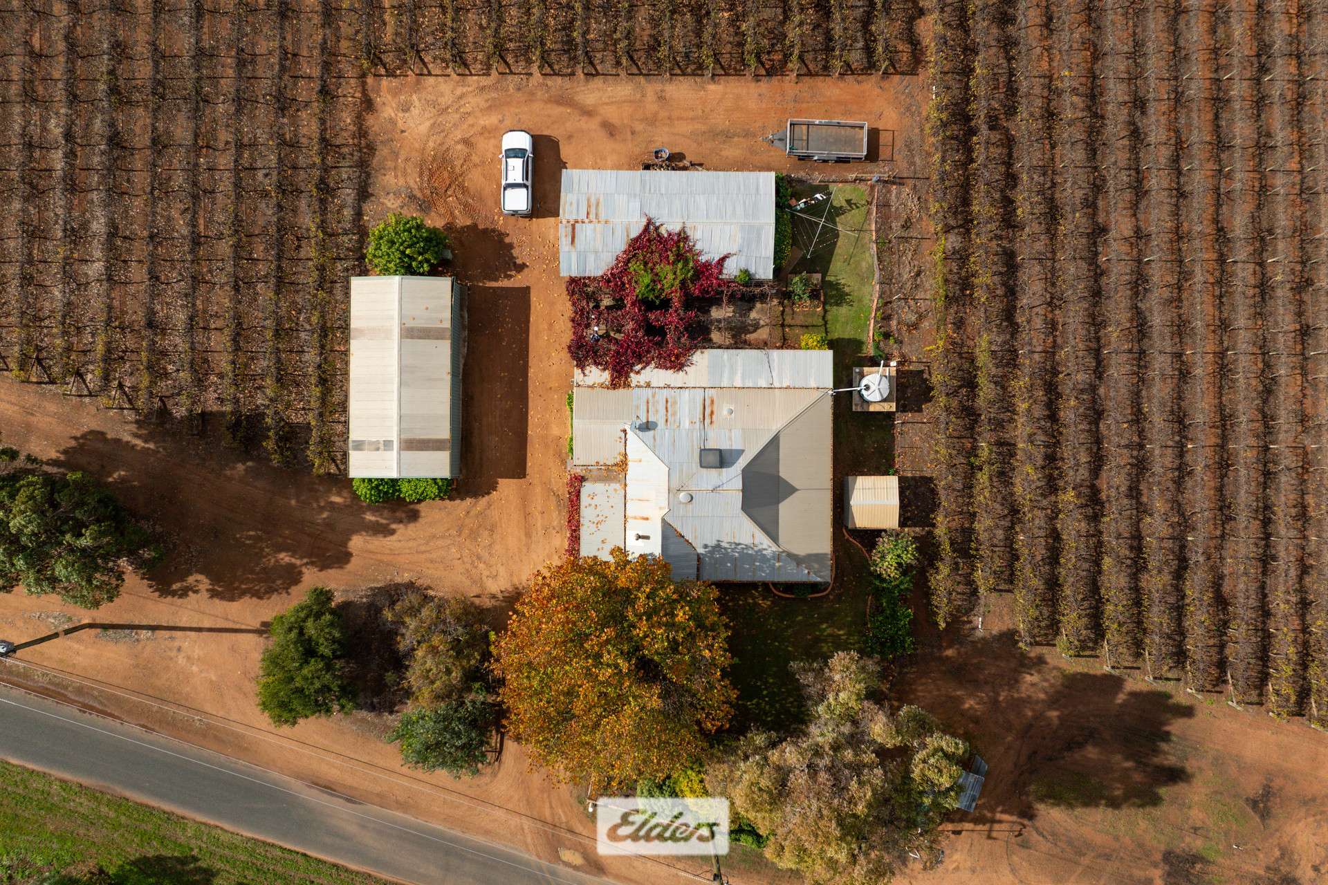 166 Keenans Drive, Coomealla For Sale by Farmbuy.com - image 24