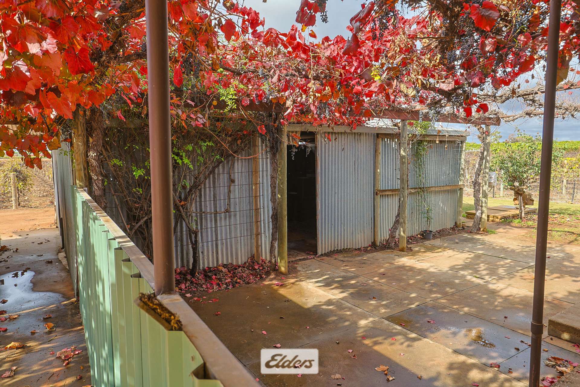 166 Keenans Drive, Coomealla For Sale by Farmbuy.com - image 21