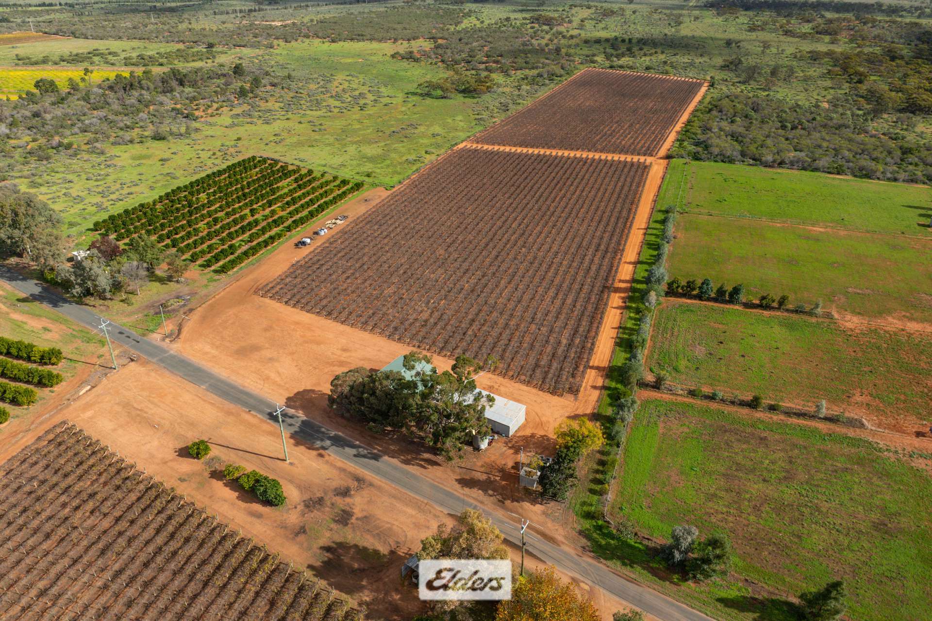166 Keenans Drive, Coomealla For Sale by Farmbuy.com - image 25