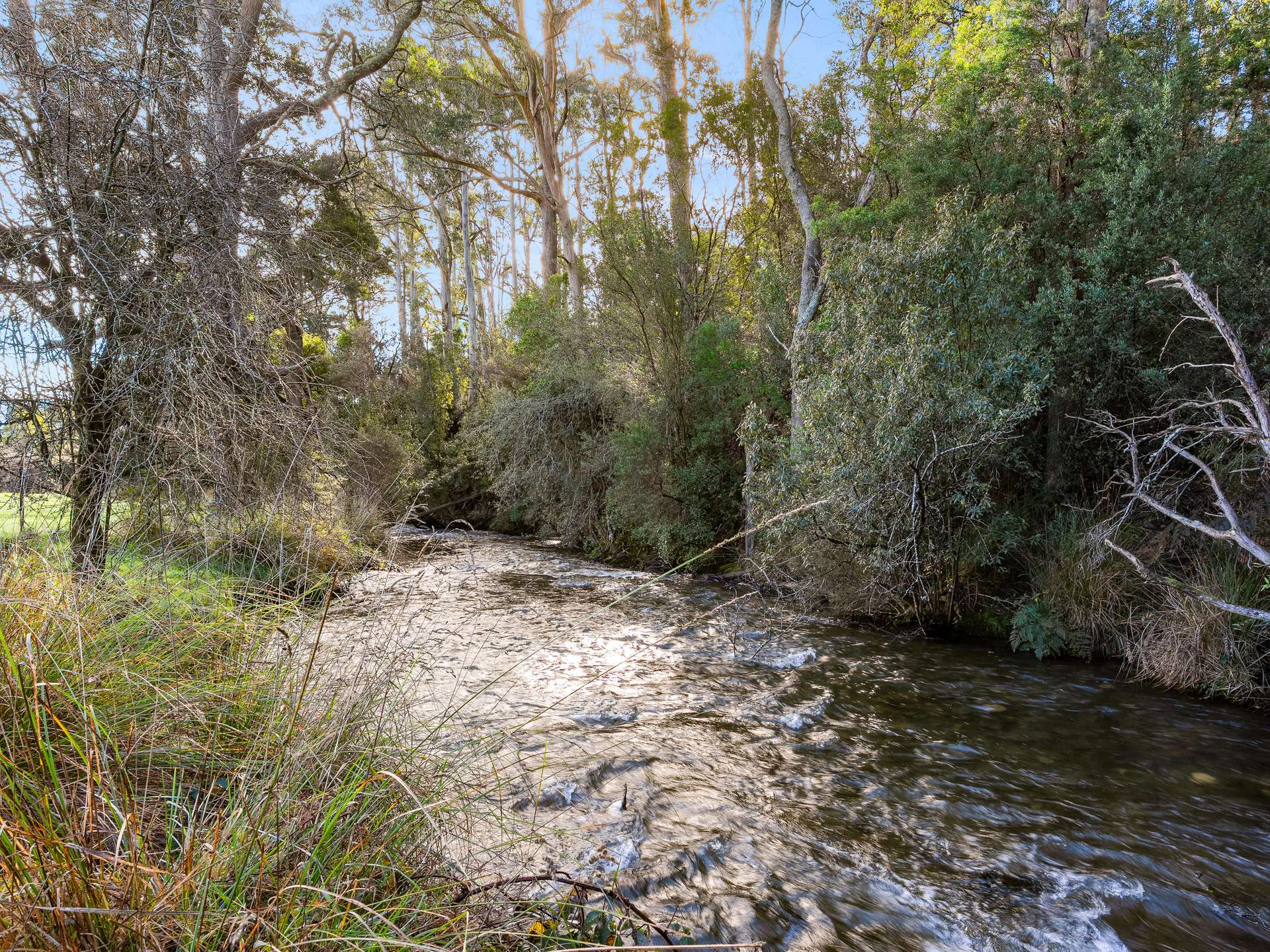 378 Liena Road, Mole Creek For Sale by Farmbuy.com - image 26