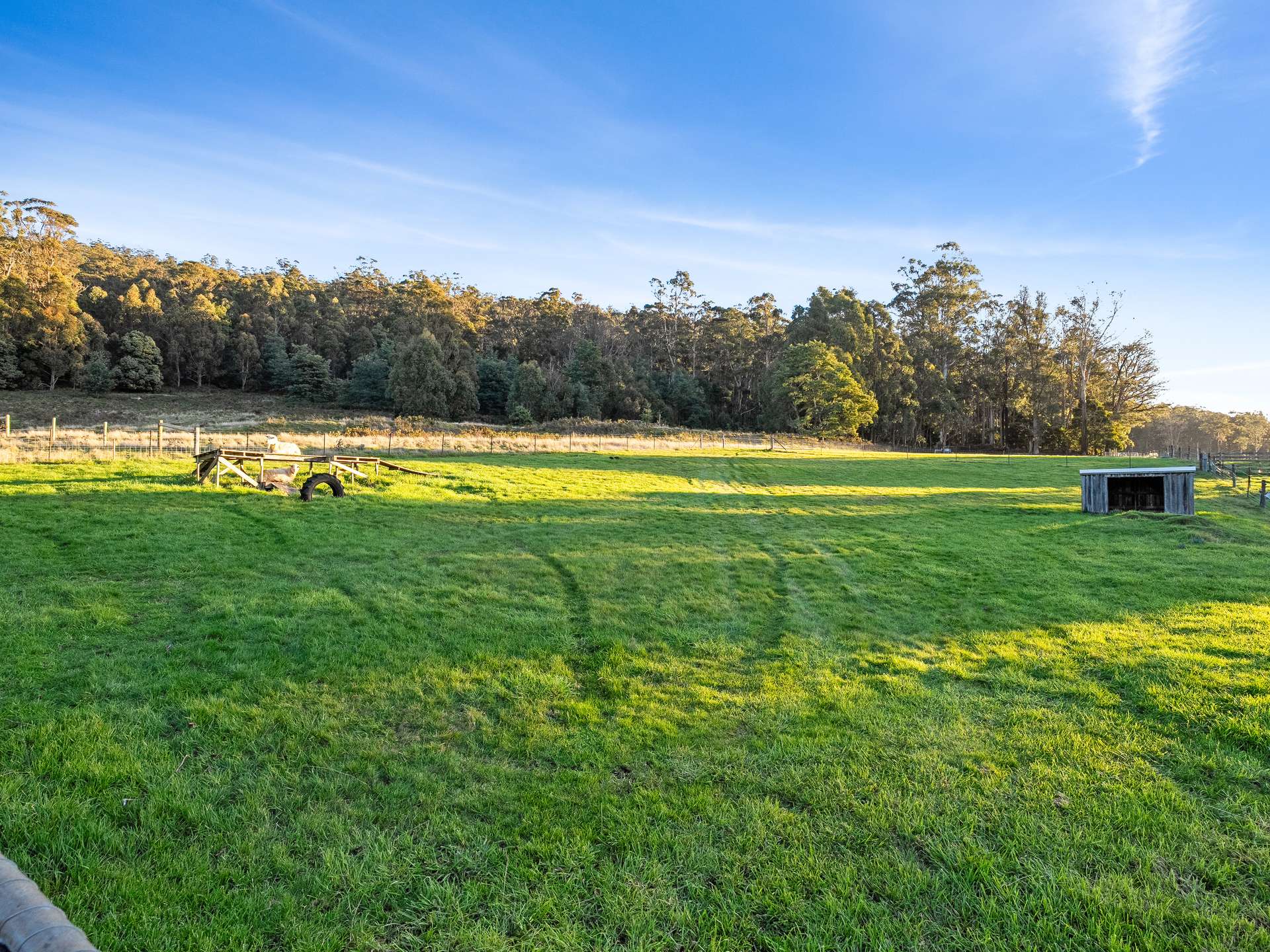 378 Liena Road, Mole Creek For Sale by Farmbuy.com - image 25