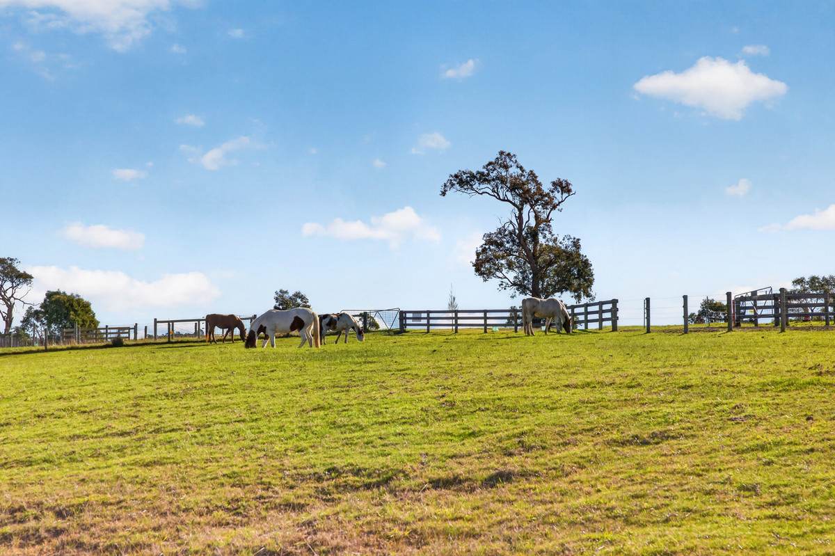 1175 Heyfield-Seaton Road, Seaton For Sale by Farmbuy.com - image 22