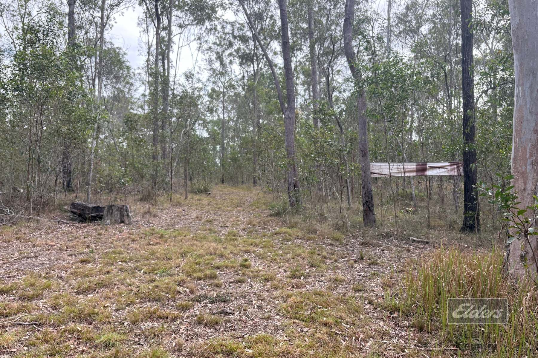 Lot 136 Glenbar Road, St Mary For Sale by Farmbuy.com - image 11