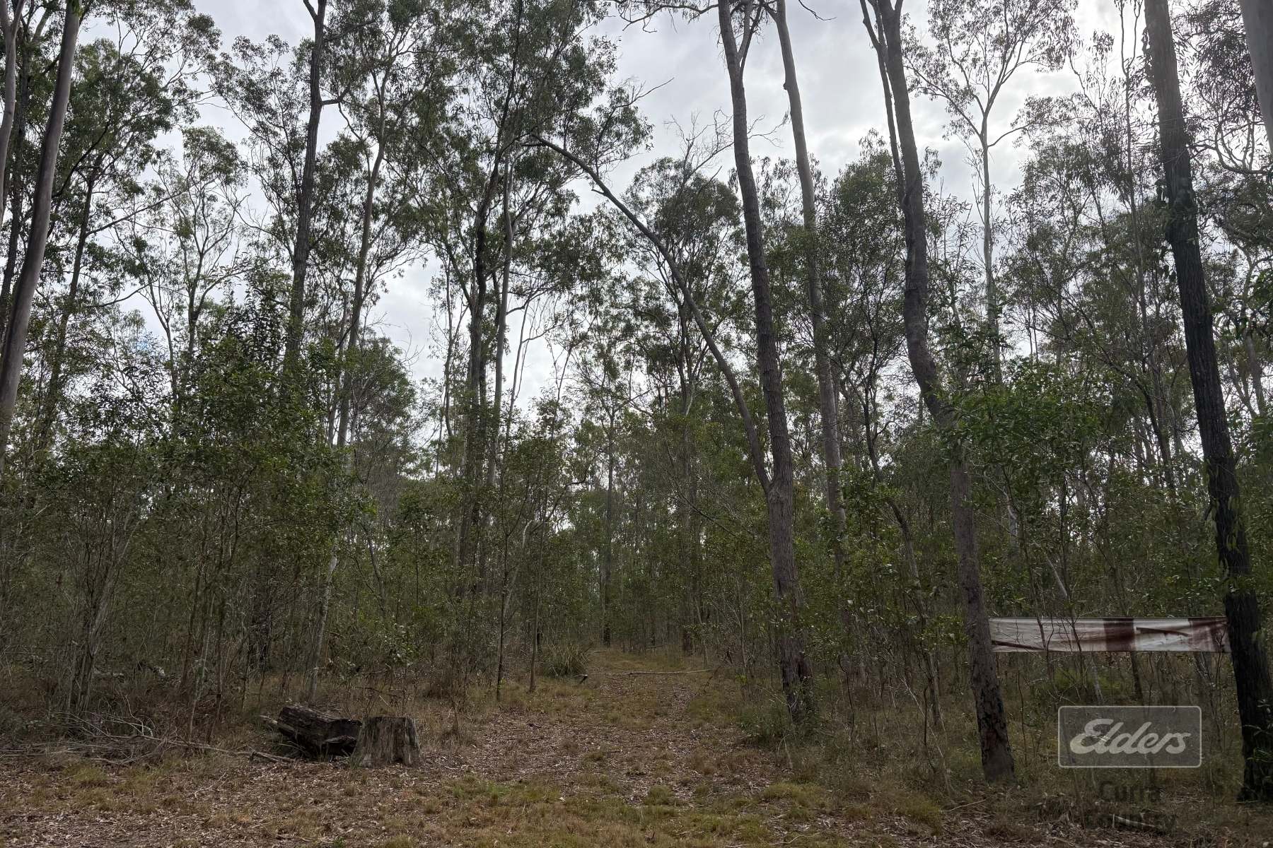 Lot 136 Glenbar Road, St Mary For Sale by Farmbuy.com - image 13