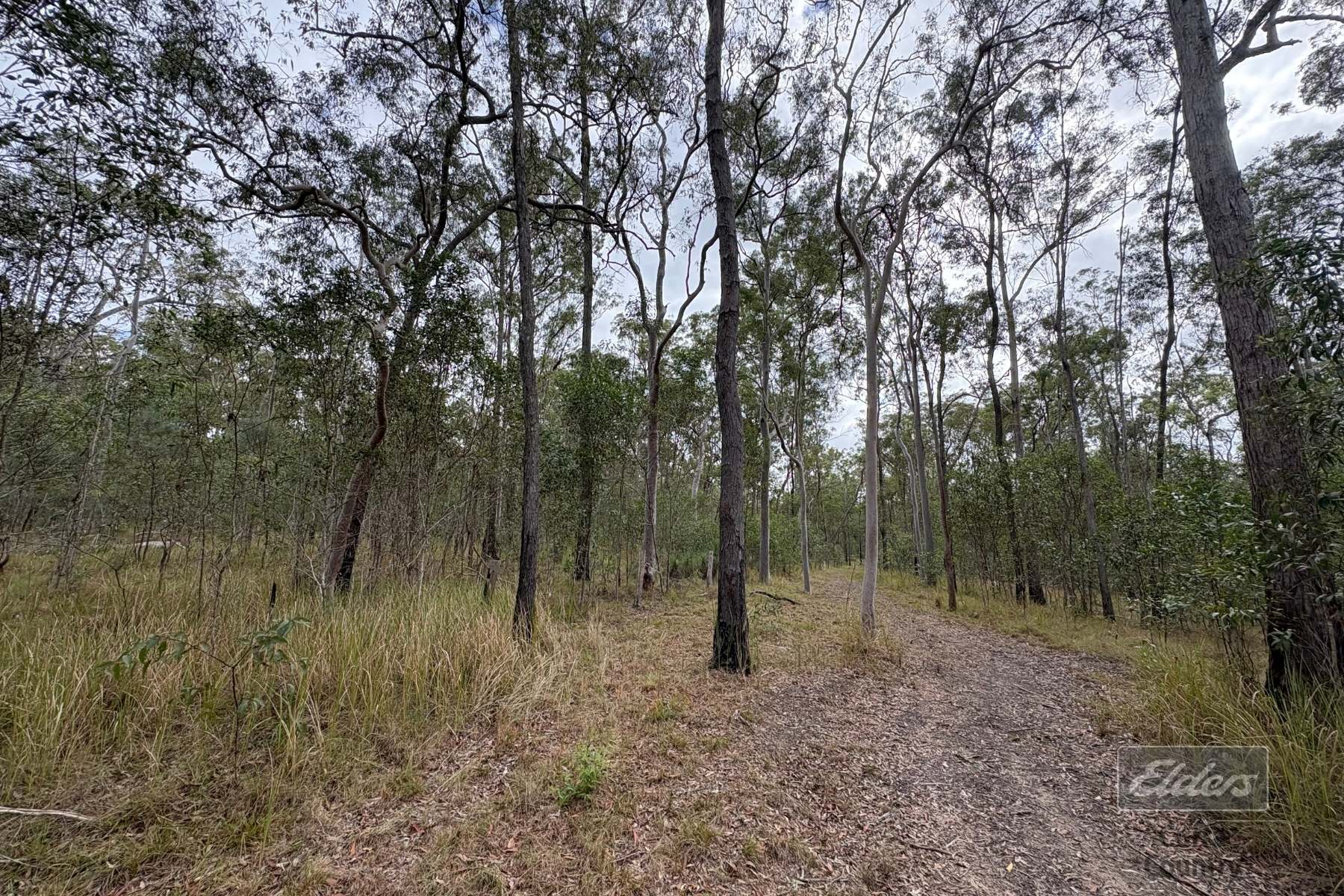 Lot 136 Glenbar Road, St Mary For Sale by Farmbuy.com - image 20