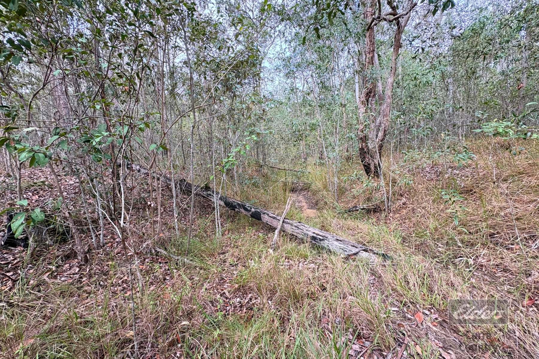 Lot 136 Glenbar Road, St Mary For Sale by Farmbuy.com - image 22