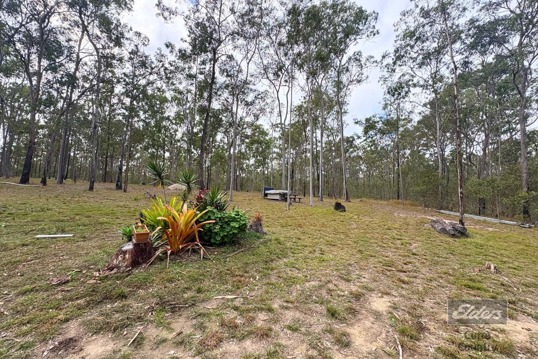 Lot 136 Glenbar Road, St Mary For Sale by Farmbuy.com - image 8