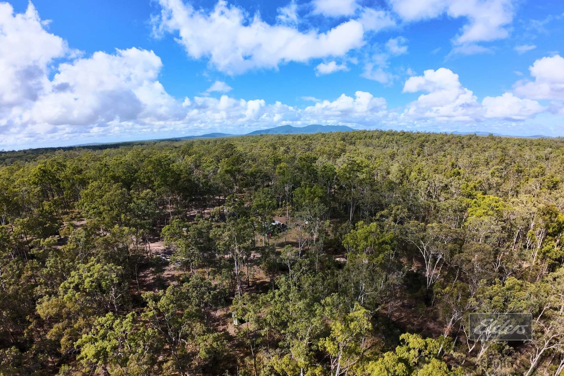 Lot 136 Glenbar Road, St Mary For Sale by Farmbuy.com - image 14