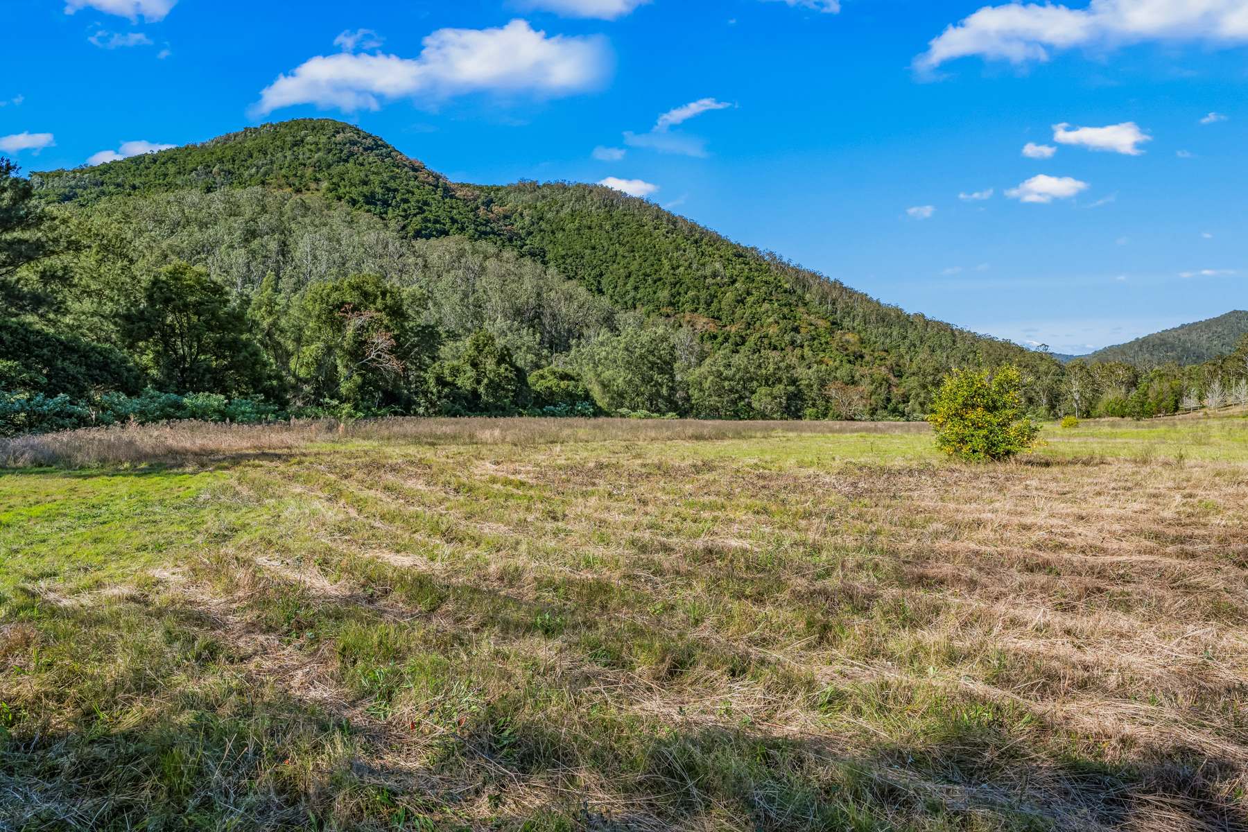 82 Tibbuc Road, Tibbuc VIA, Gloucester For Sale by Farmbuy.com - image 31