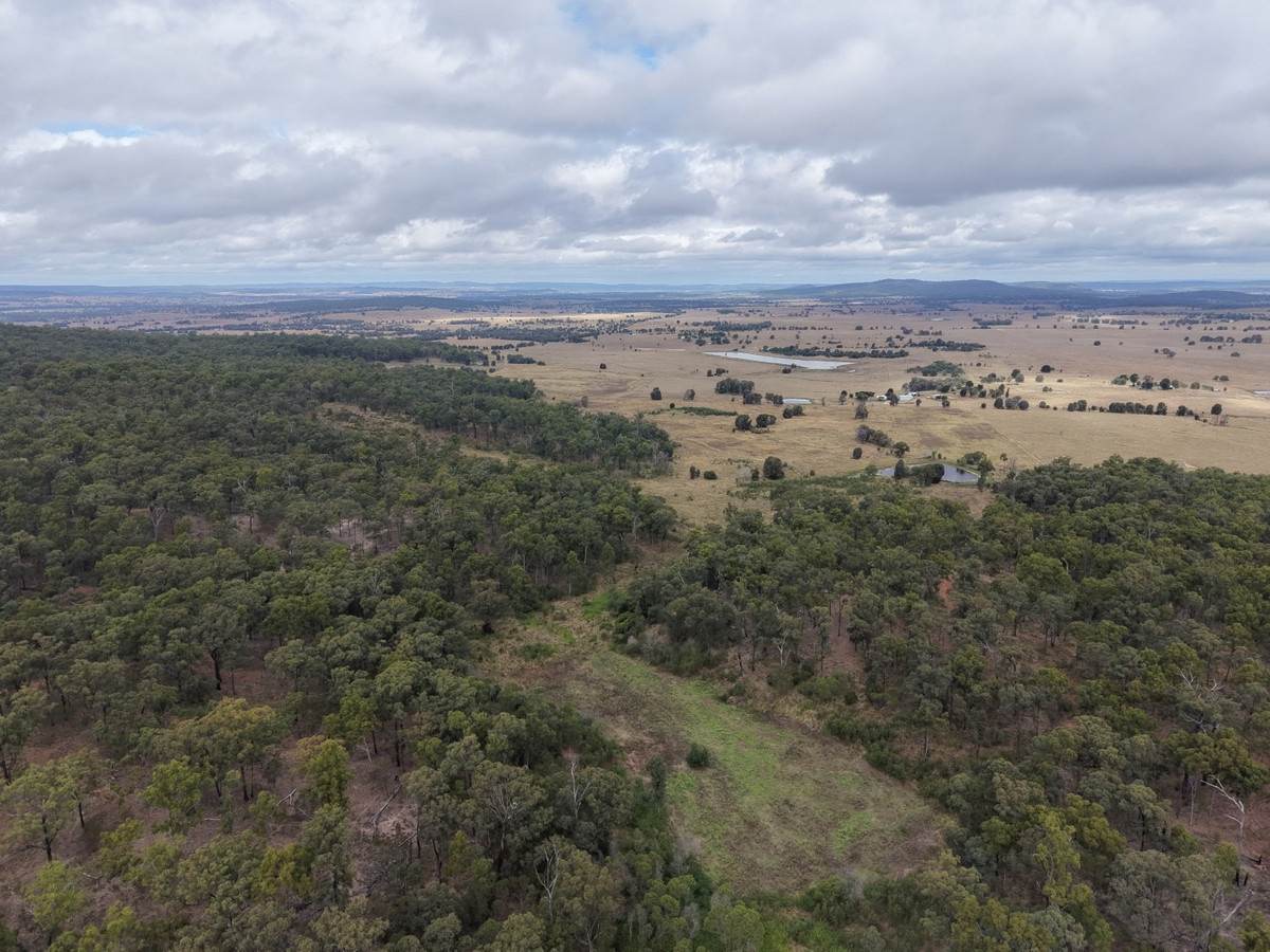 Lot 113,  Weir Road, Monto For Sale by Farmbuy.com - image 4