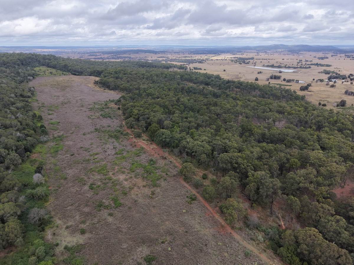 Lot 113,  Weir Road, Monto For Sale by Farmbuy.com - image 5
