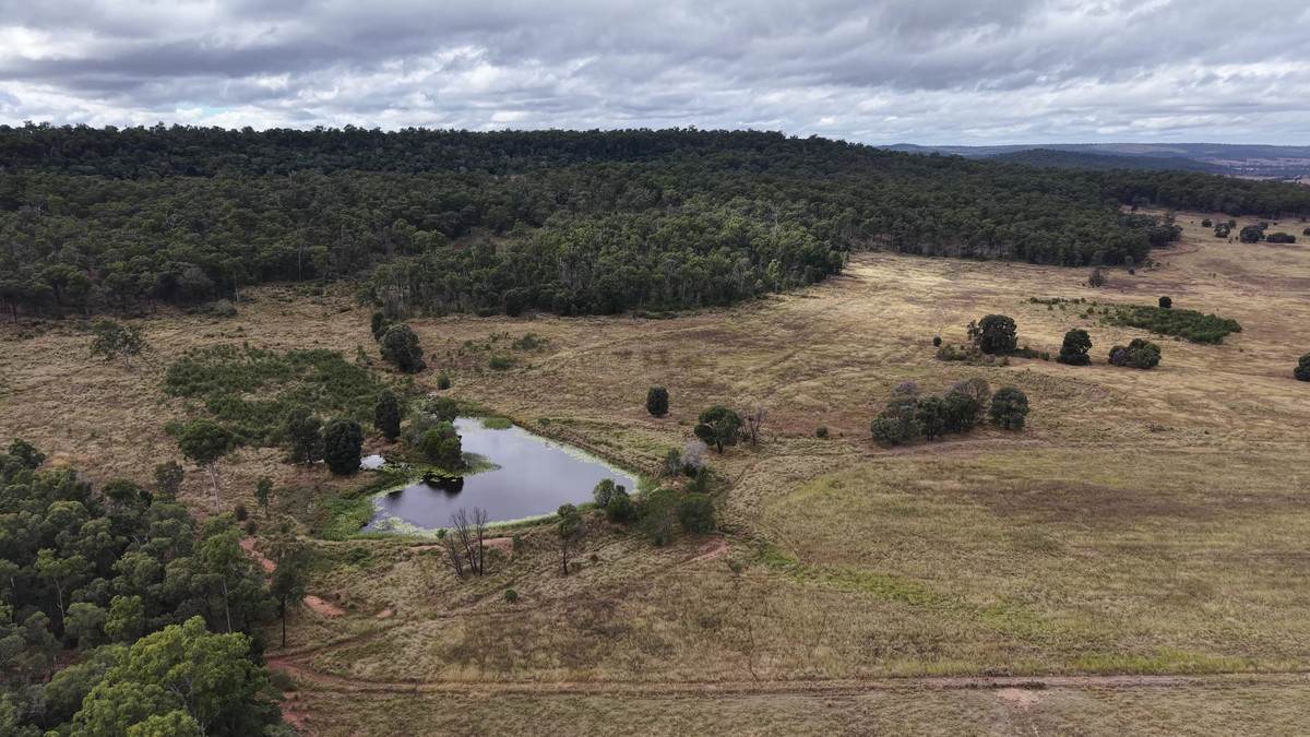 Lot 113,  Weir Road, Monto For Sale by Farmbuy.com - image 2