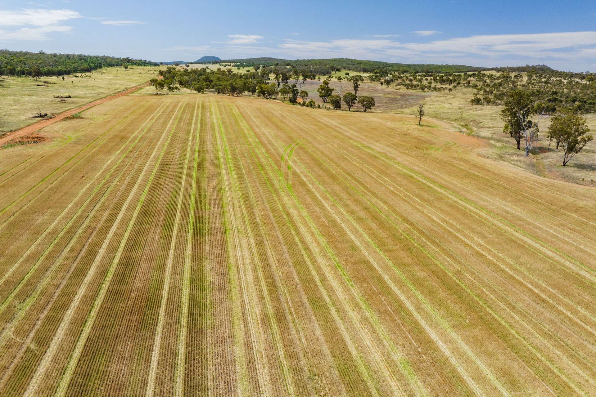 289 Kamarah Road, Narrandera For Sale by Farmbuy.com - image 6