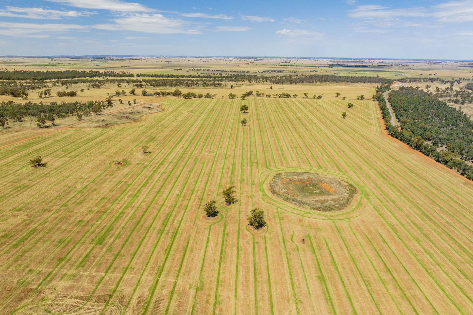 289 Kamarah Road, Narrandera For Sale by Farmbuy.com - image 10