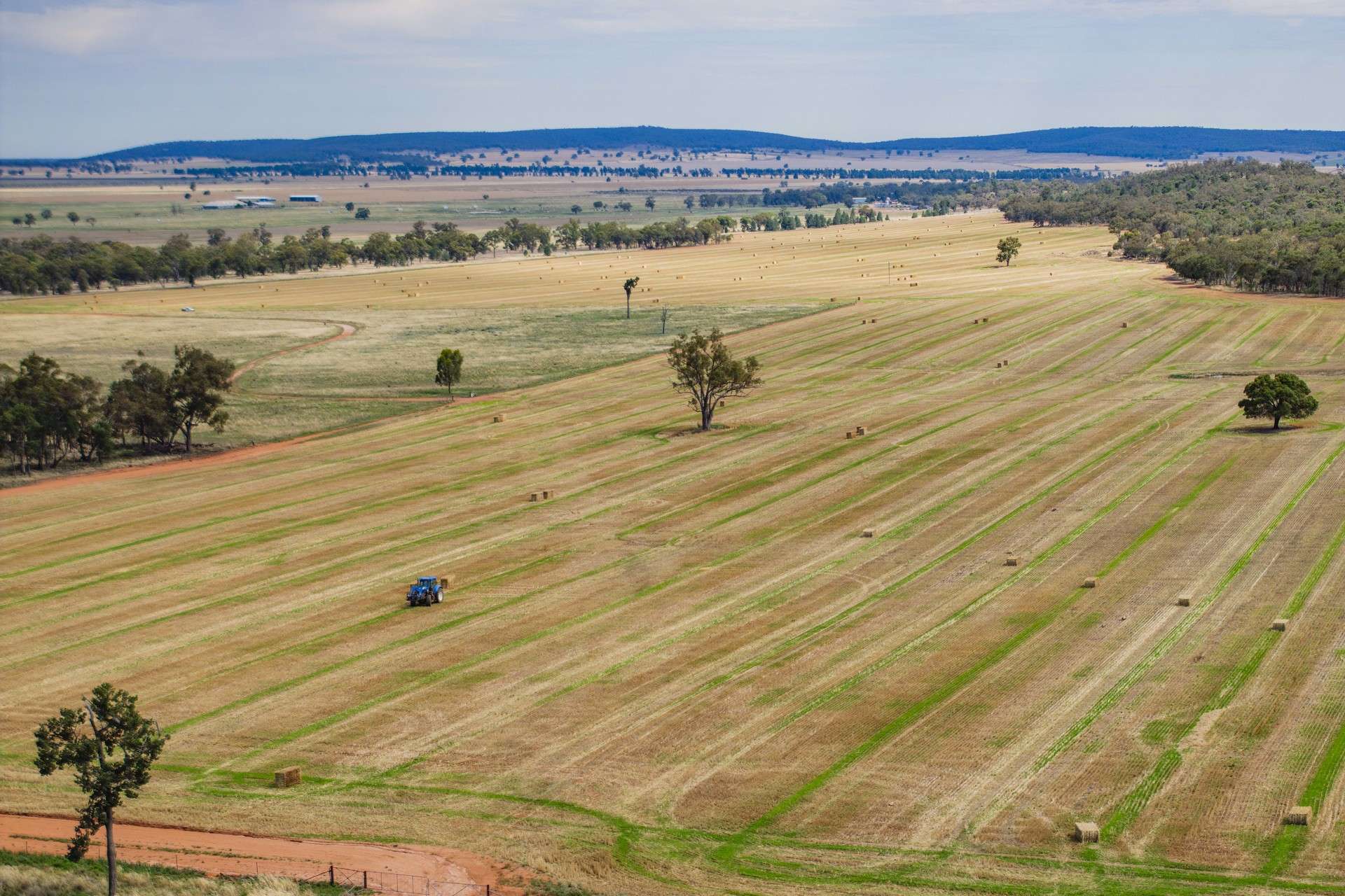 289 Kamarah Road, Narrandera For Sale by Farmbuy.com - image 3