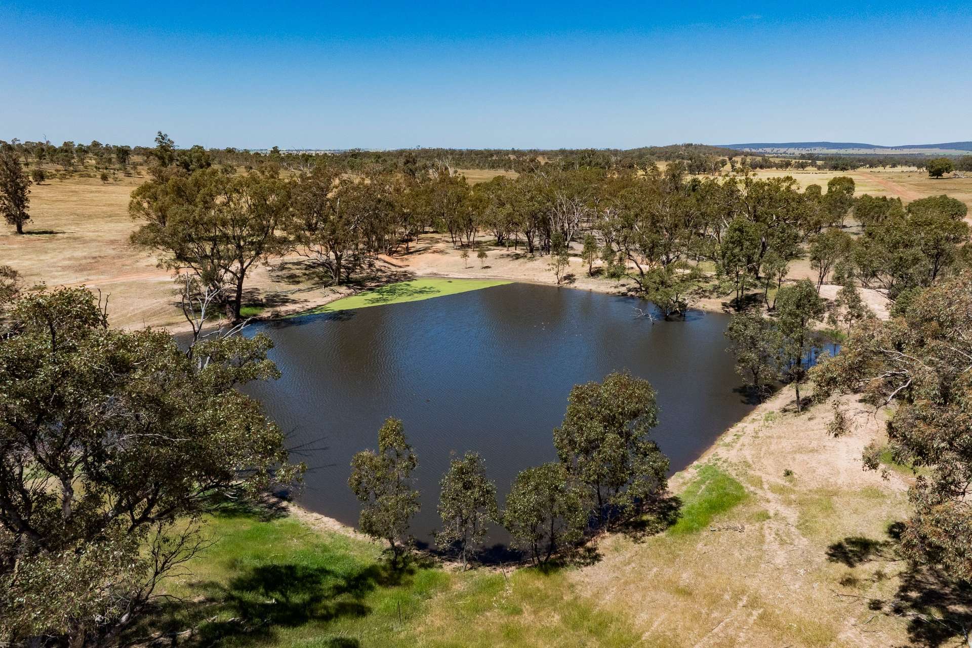 289 Kamarah Road, Narrandera For Sale by Farmbuy.com - image 8