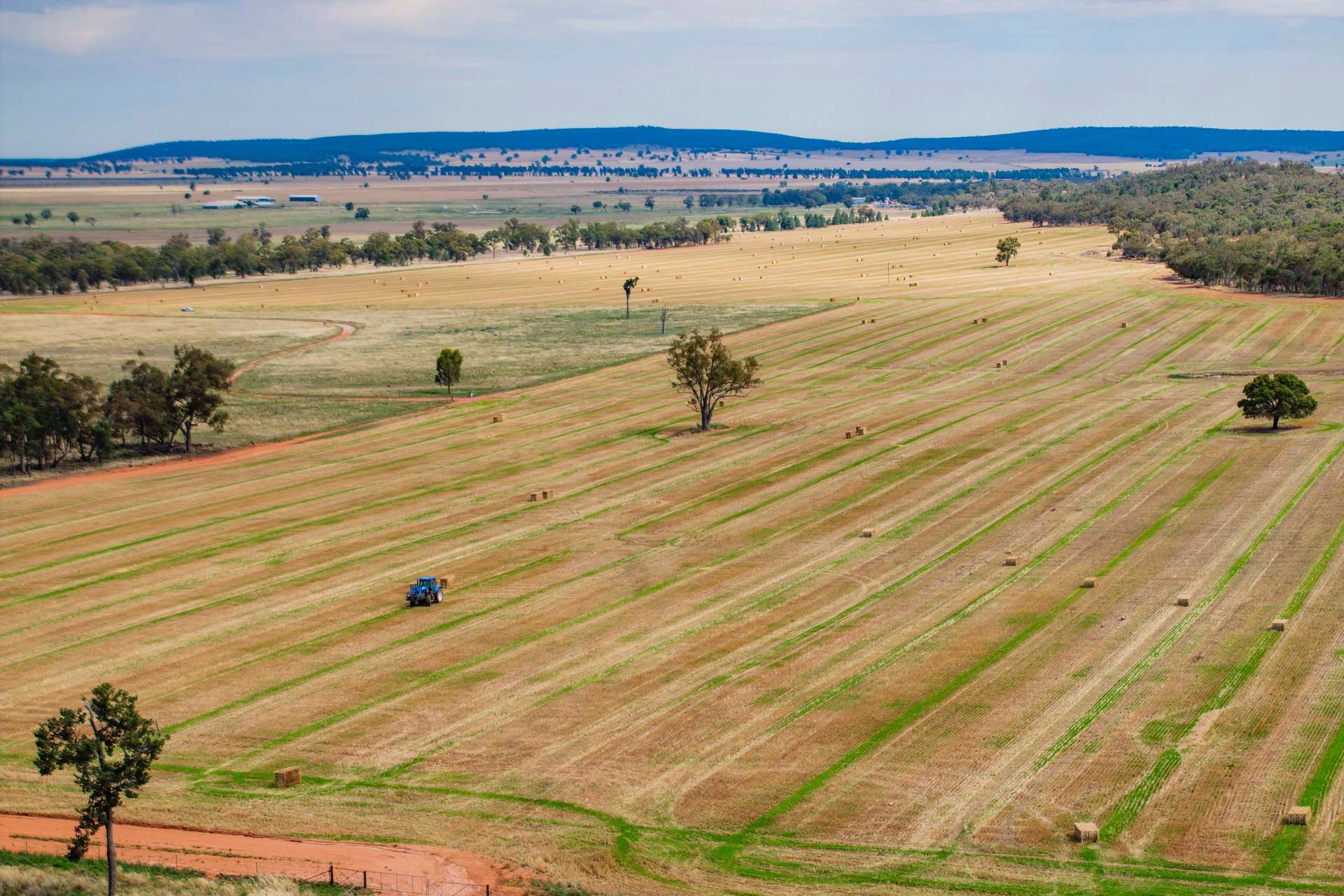 289 Kamarah Road, Narrandera For Sale by Farmbuy.com - image 3