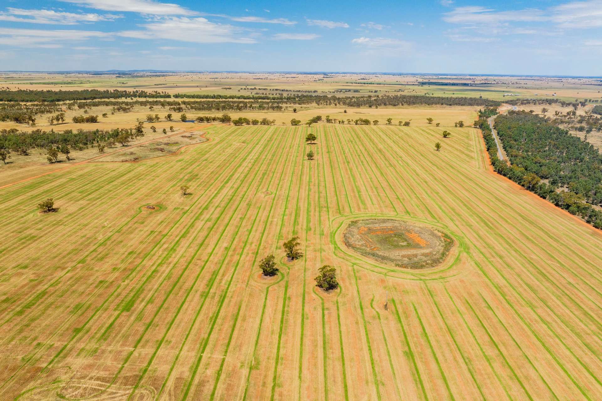 289 Kamarah Road, Narrandera For Sale by Farmbuy.com - image 10