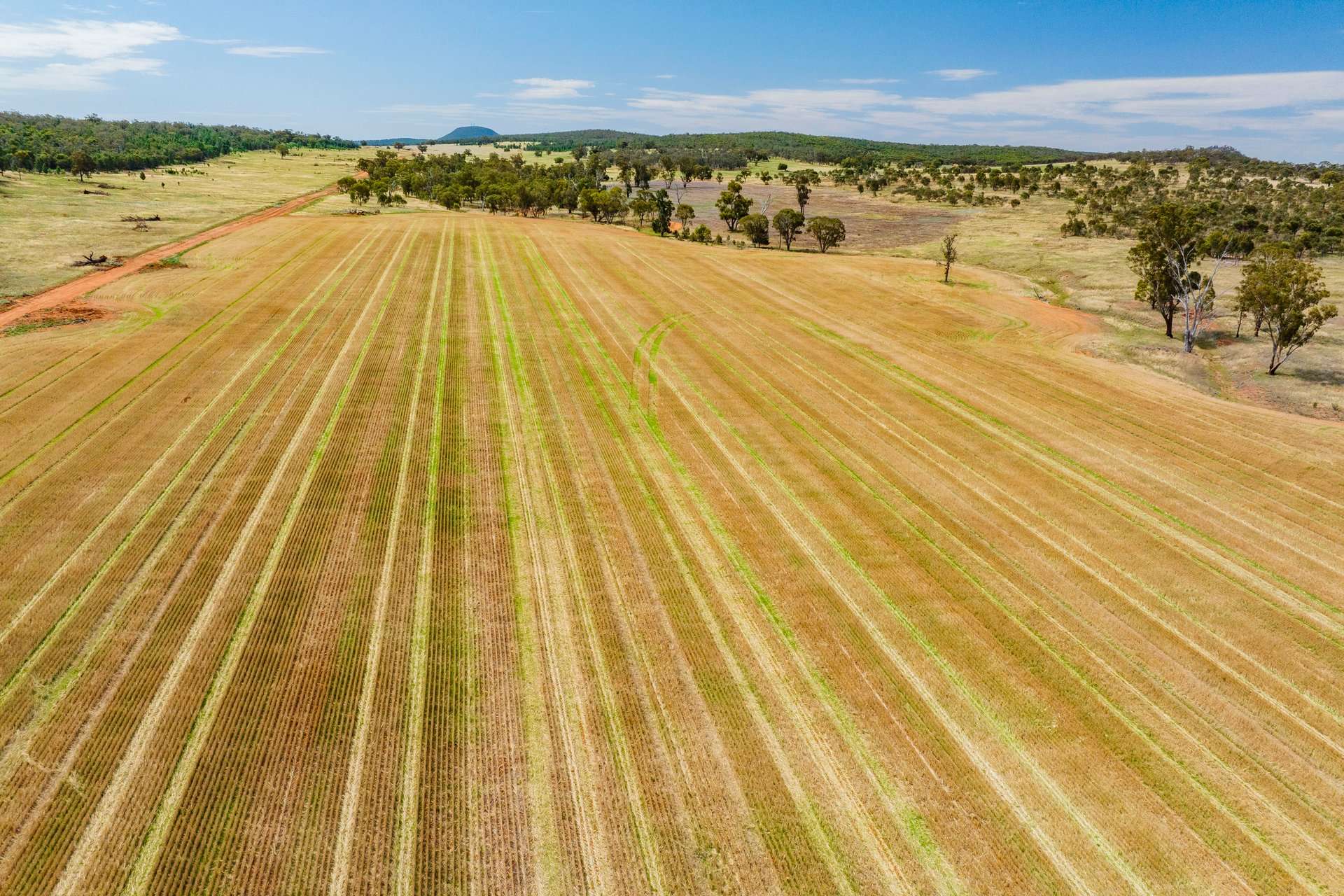 289 Kamarah Road, Narrandera For Sale by Farmbuy.com - image 6