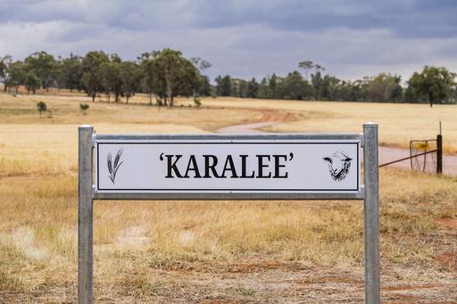 Farm For Sale - NSW - Narrandera - 2700 - 