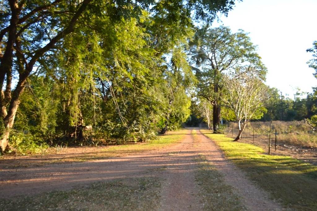 Adelaide River NT 0846